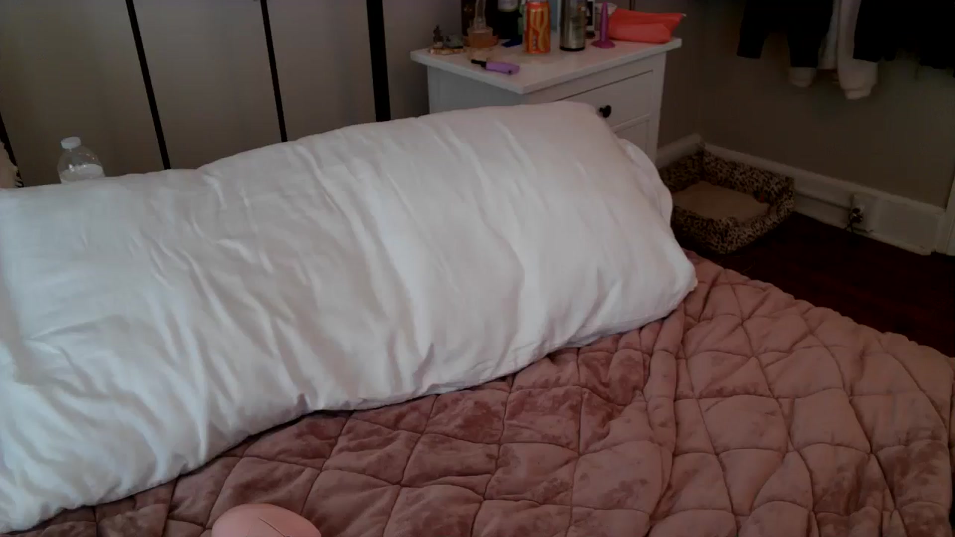 Gallery image thumbnail from Lena_bee's myfreecams stream on, 09/22/2023, 19:39 image 10 of 20