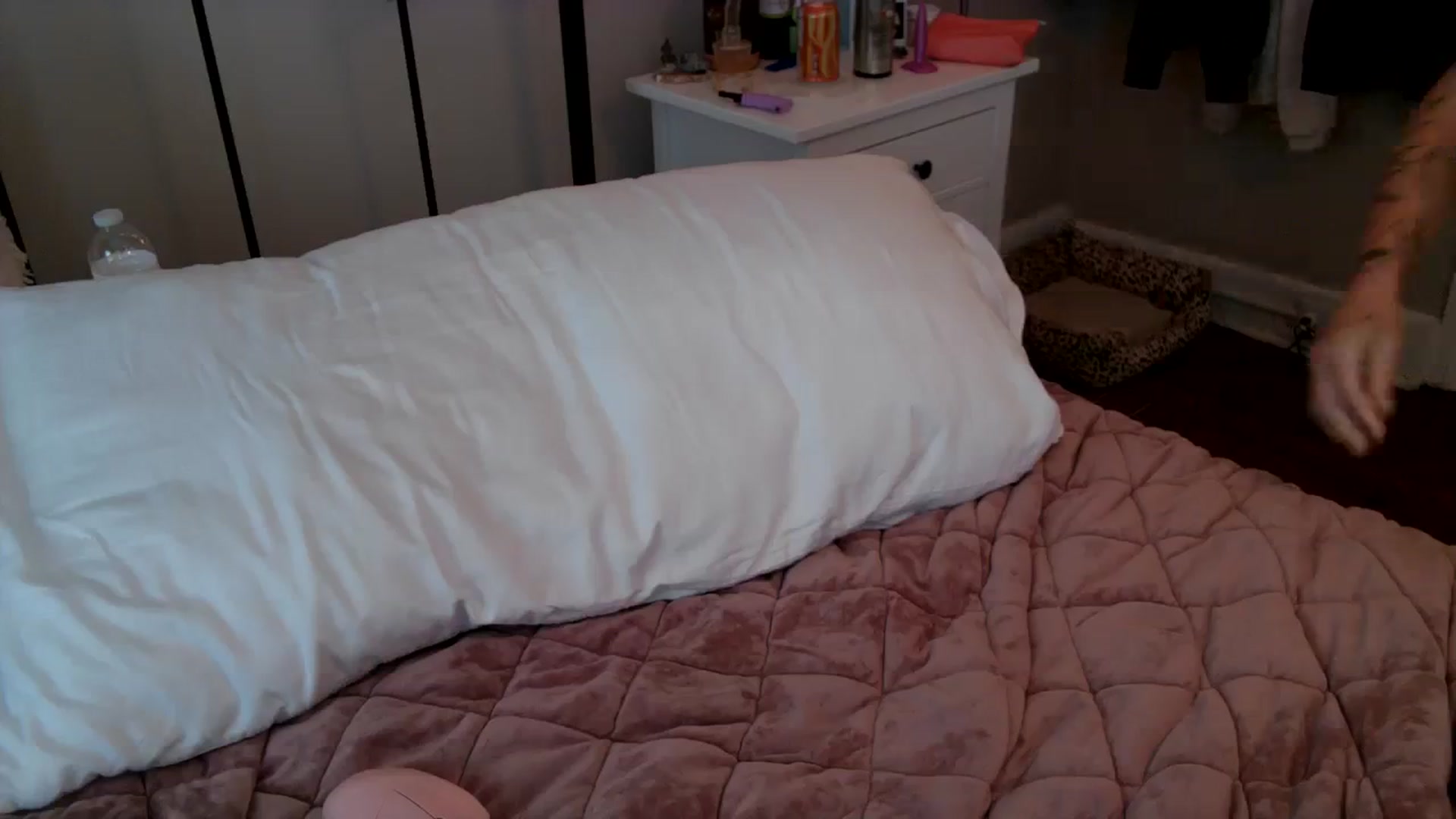 Gallery image thumbnail from Lena_bee's myfreecams stream on, 09/22/2023, 19:39 image 11 of 20