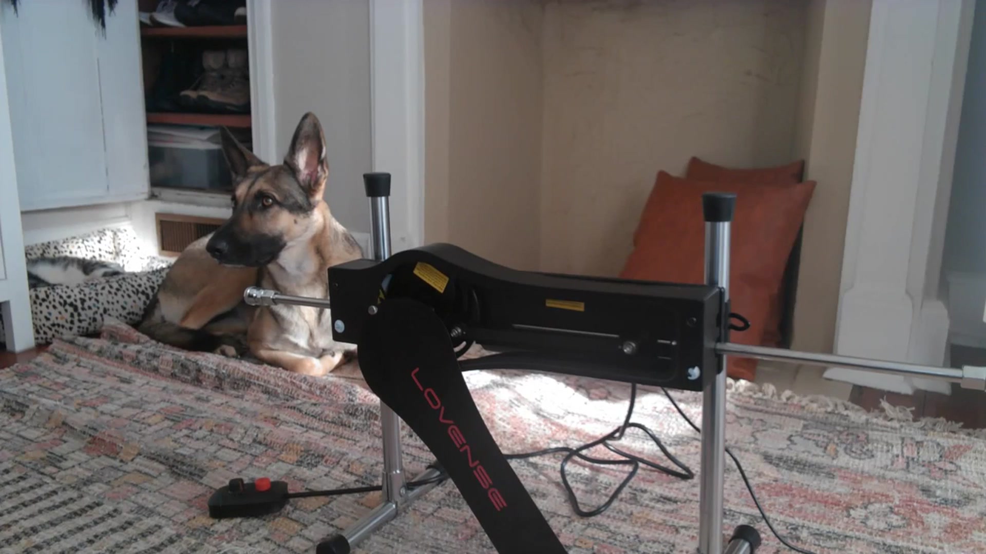 Gallery image thumbnail from Lena_bee's myfreecams stream on, 01/05/2024, 18:56 image 19 of 20
