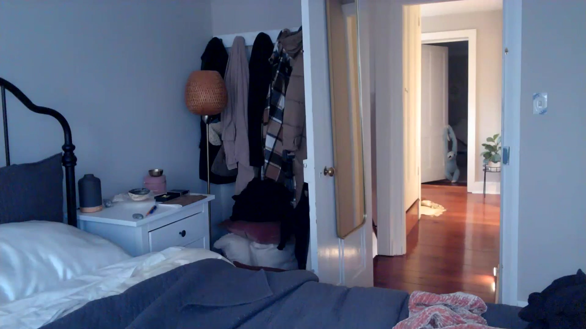 Gallery image thumbnail from Lena_bee's myfreecams stream on, 01/09/2024, 19:30 image 17 of 20