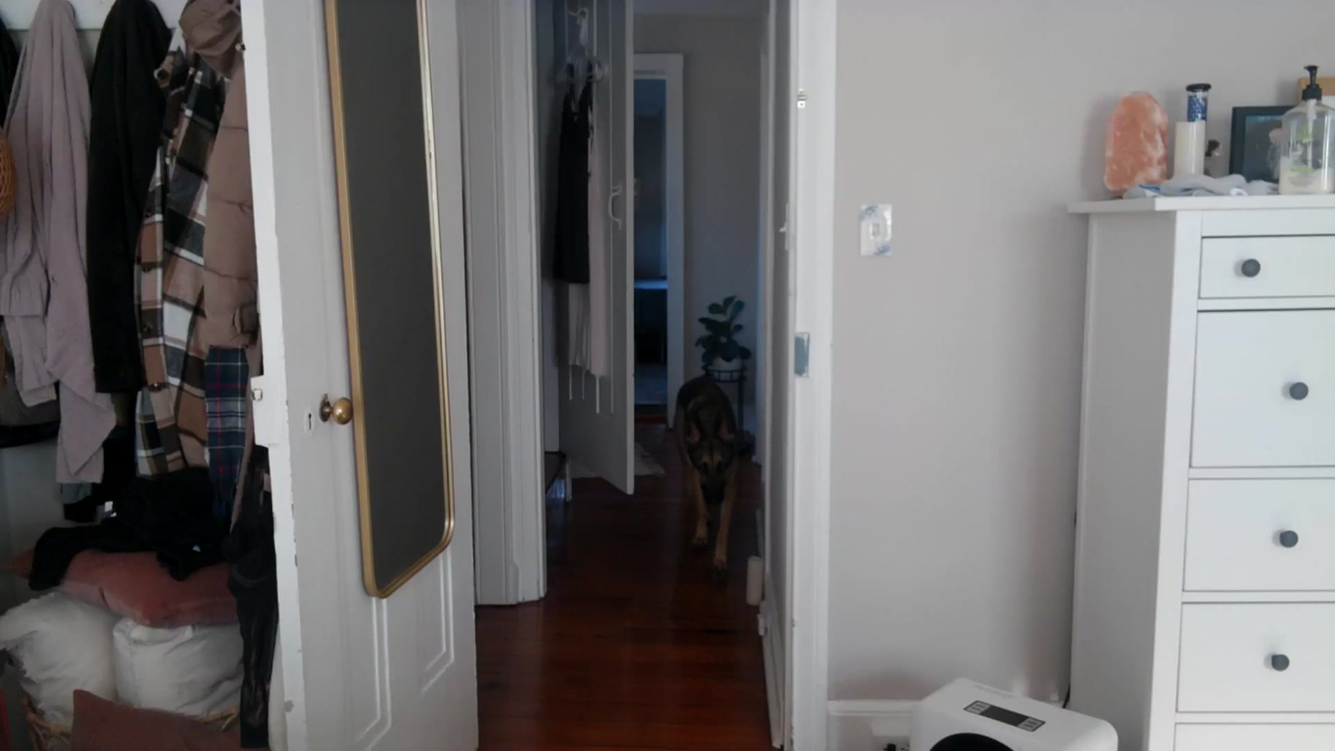 Gallery image thumbnail from Lena_bee's myfreecams stream on, 01/11/2024, 17:33 image 7 of 20
