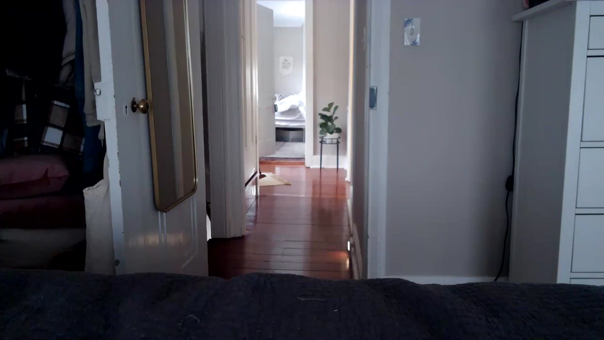 Gallery image thumbnail from Lena_bee's myfreecams stream on, 01/24/2024, 17:29 image 14 of 20
