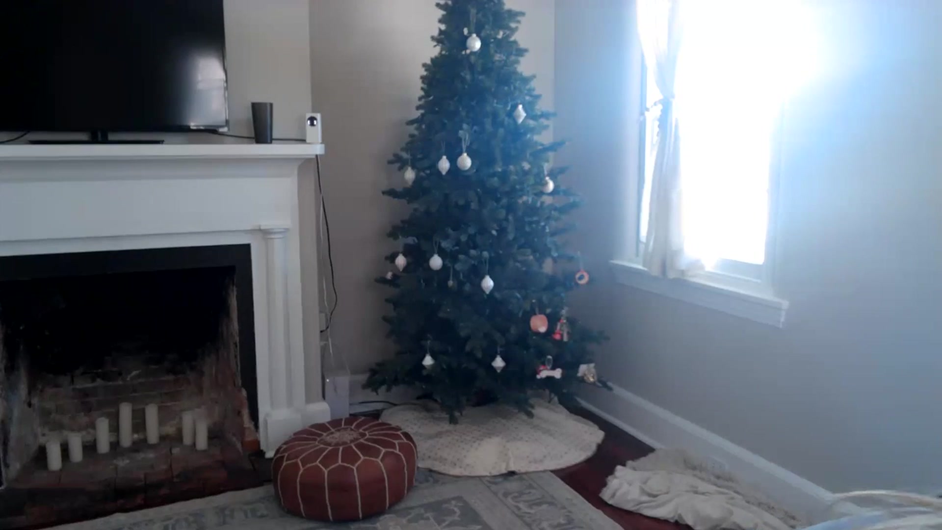 Gallery image thumbnail from Lena_bee's myfreecams stream on, 02/06/2024, 18:19 image 5 of 20