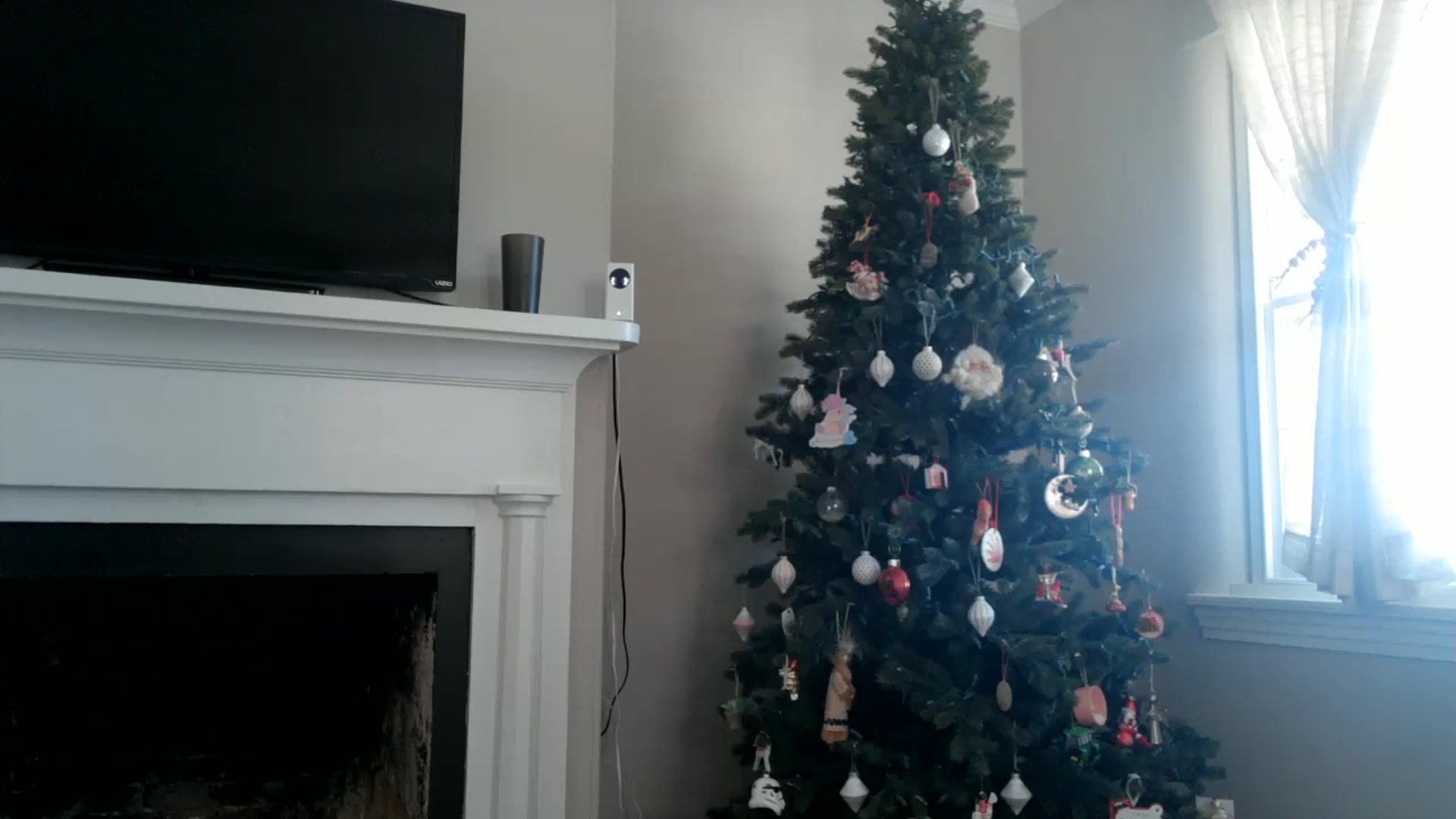 Gallery image thumbnail from Lena_bee's myfreecams stream on, 02/06/2024, 18:19 image 2 of 20