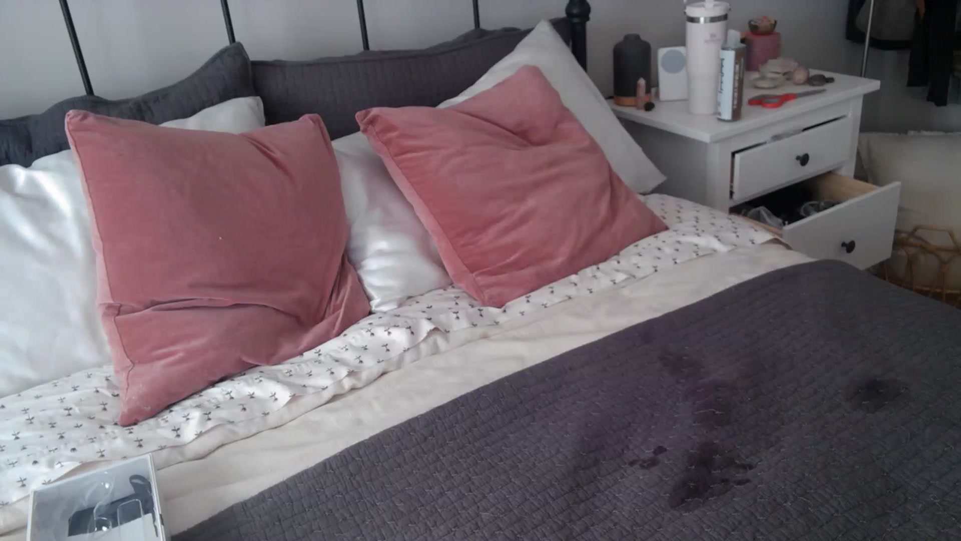 Gallery image thumbnail from Lena_bee's myfreecams stream on, 02/14/2024, 19:12 image 10 of 20