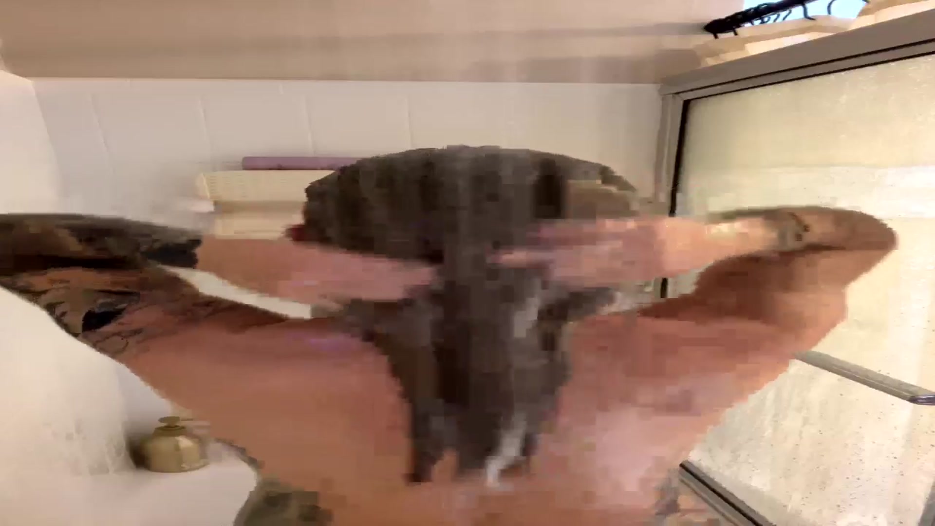 Gallery image thumbnail from Lena_bee's myfreecams stream on, 05/29/2024, 16:07 image 3 of 20