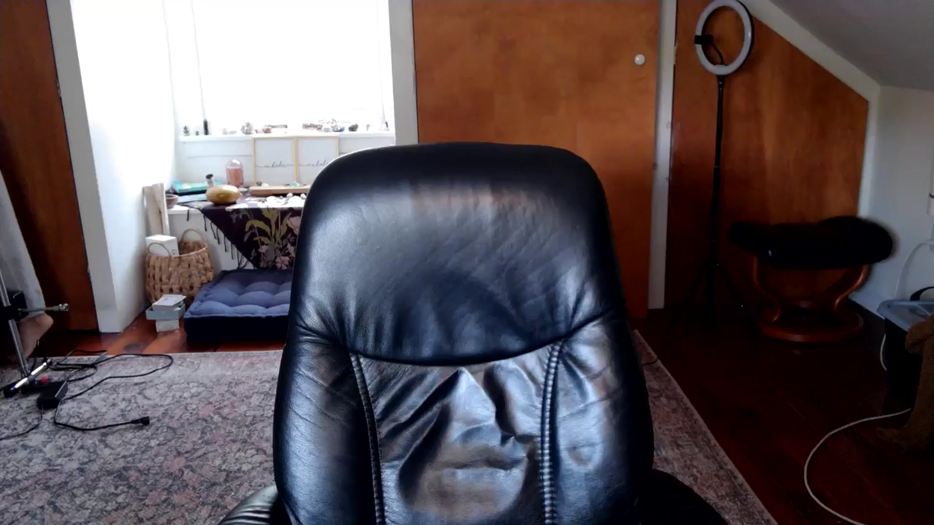 Gallery image thumbnail from Lena_bee's myfreecams stream on, 06/19/2024, 17:04 image 7 of 20