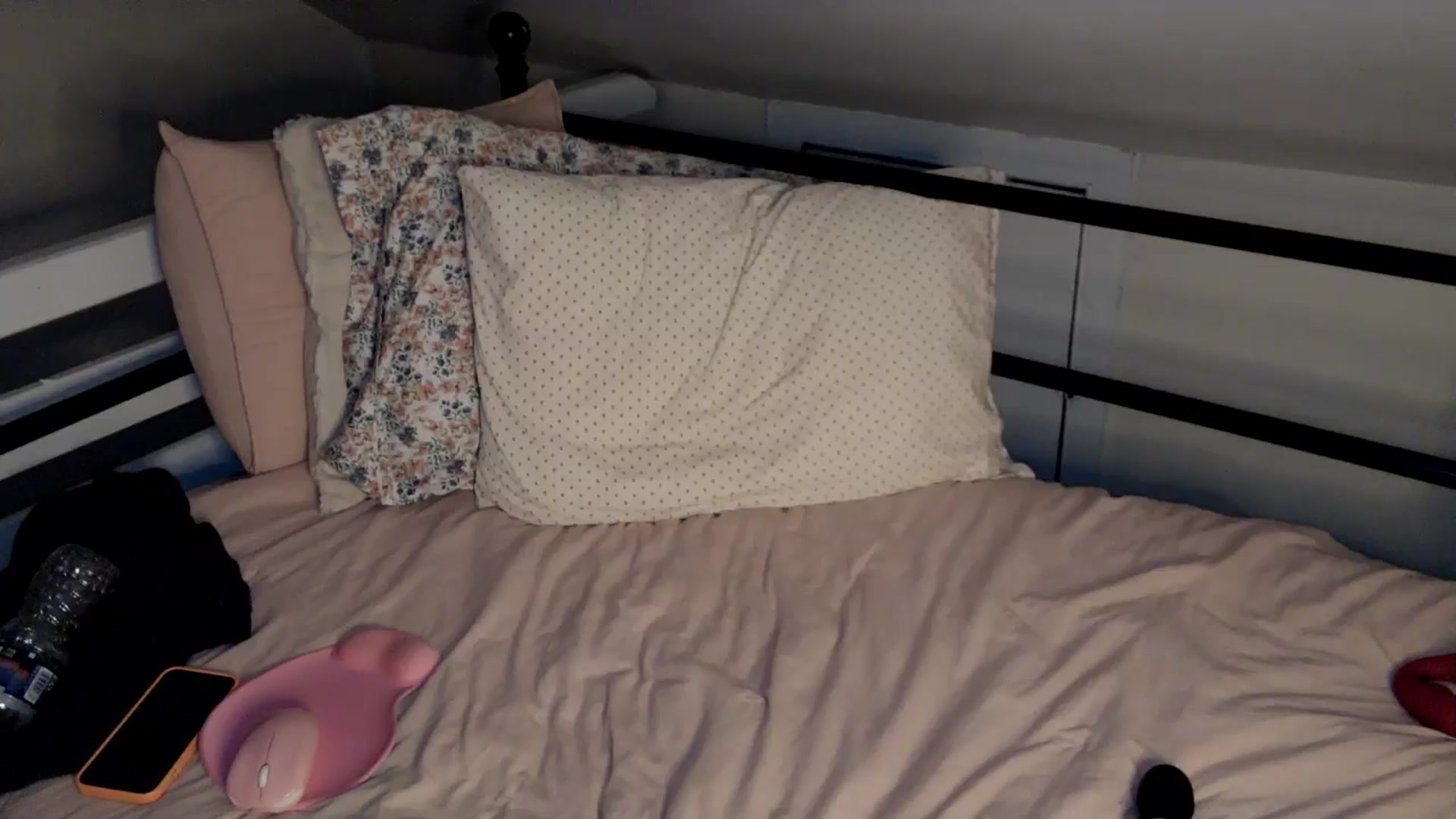 Gallery image thumbnail from Lena_bee's myfreecams stream on, 08/08/2024, 04:48 image 12 of 20