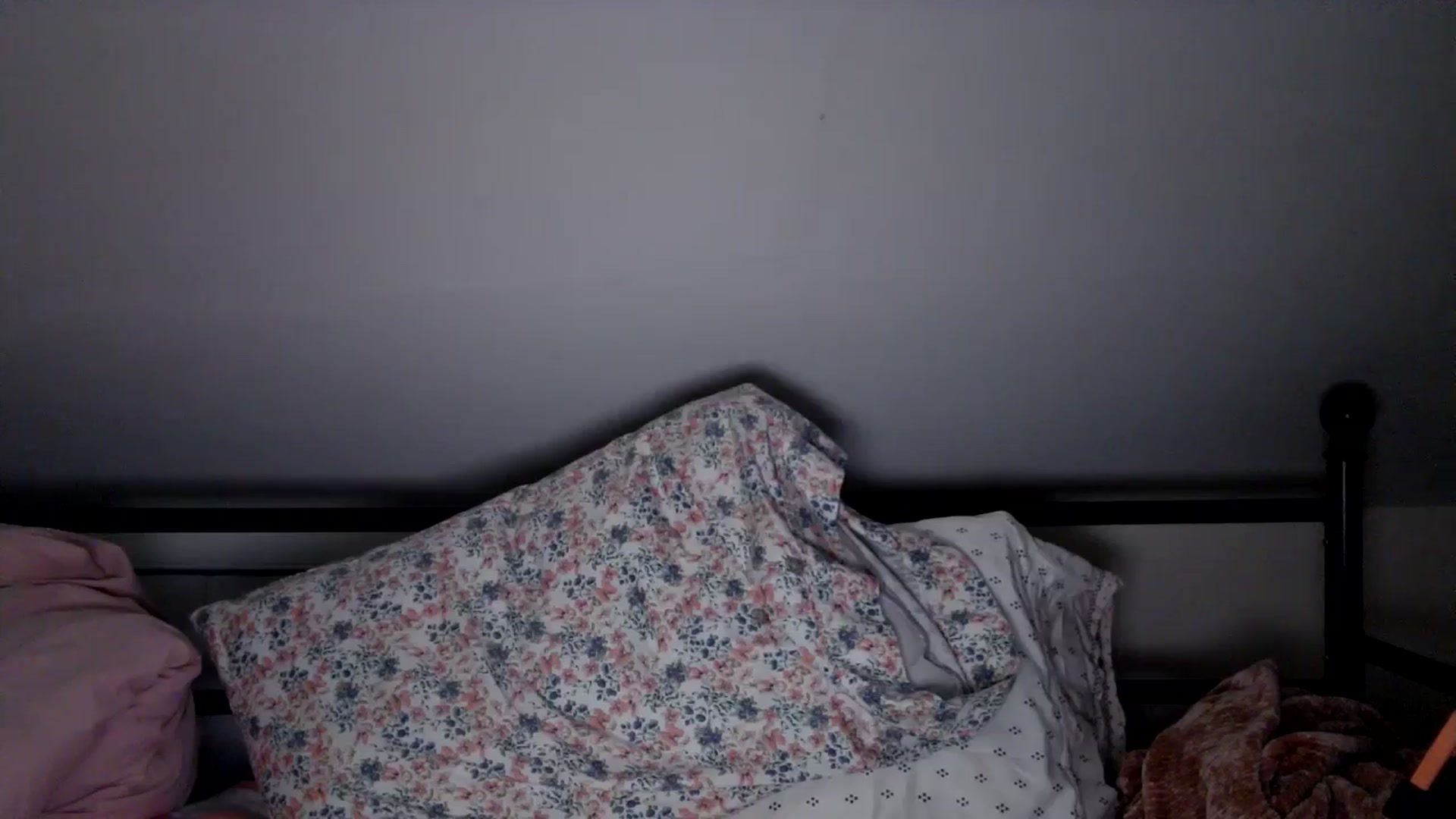 Gallery image thumbnail from Lena_bee's myfreecams stream on, 09/11/2024, 04:20 image 19 of 20