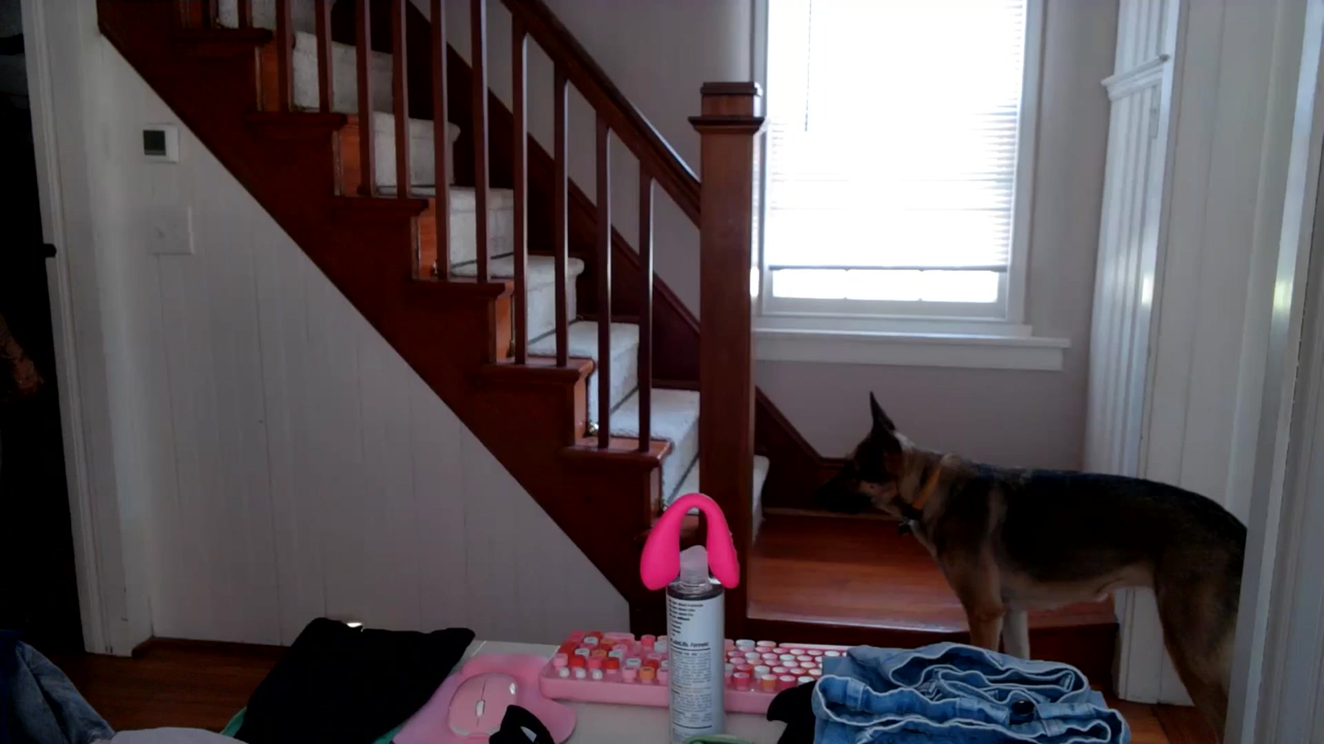 Gallery image thumbnail from Lena_bee's myfreecams stream on, 09/11/2024, 17:42 image 17 of 20
