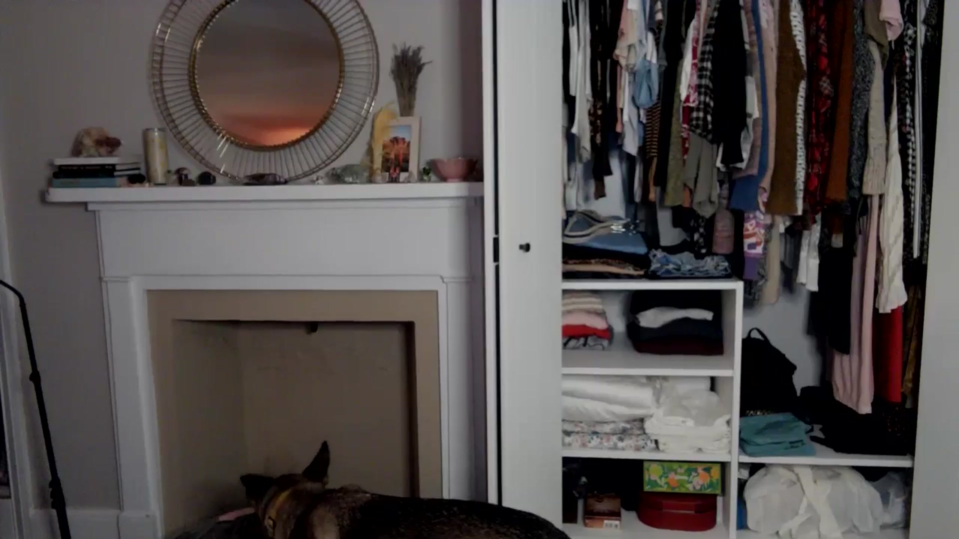 Gallery image thumbnail from Lena_bee's myfreecams stream on, 09/27/2024, 23:49 image 17 of 20