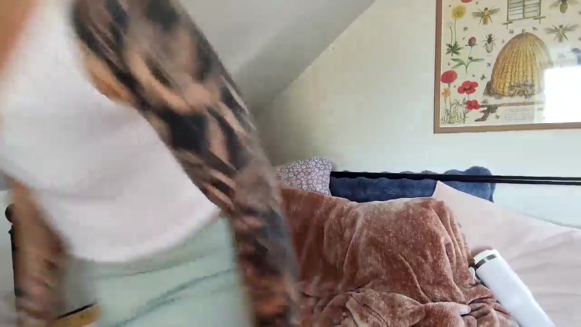 Gallery image thumbnail from Lena_bee's myfreecams stream on, 01/14/2025, 19:44 image 9 of 20