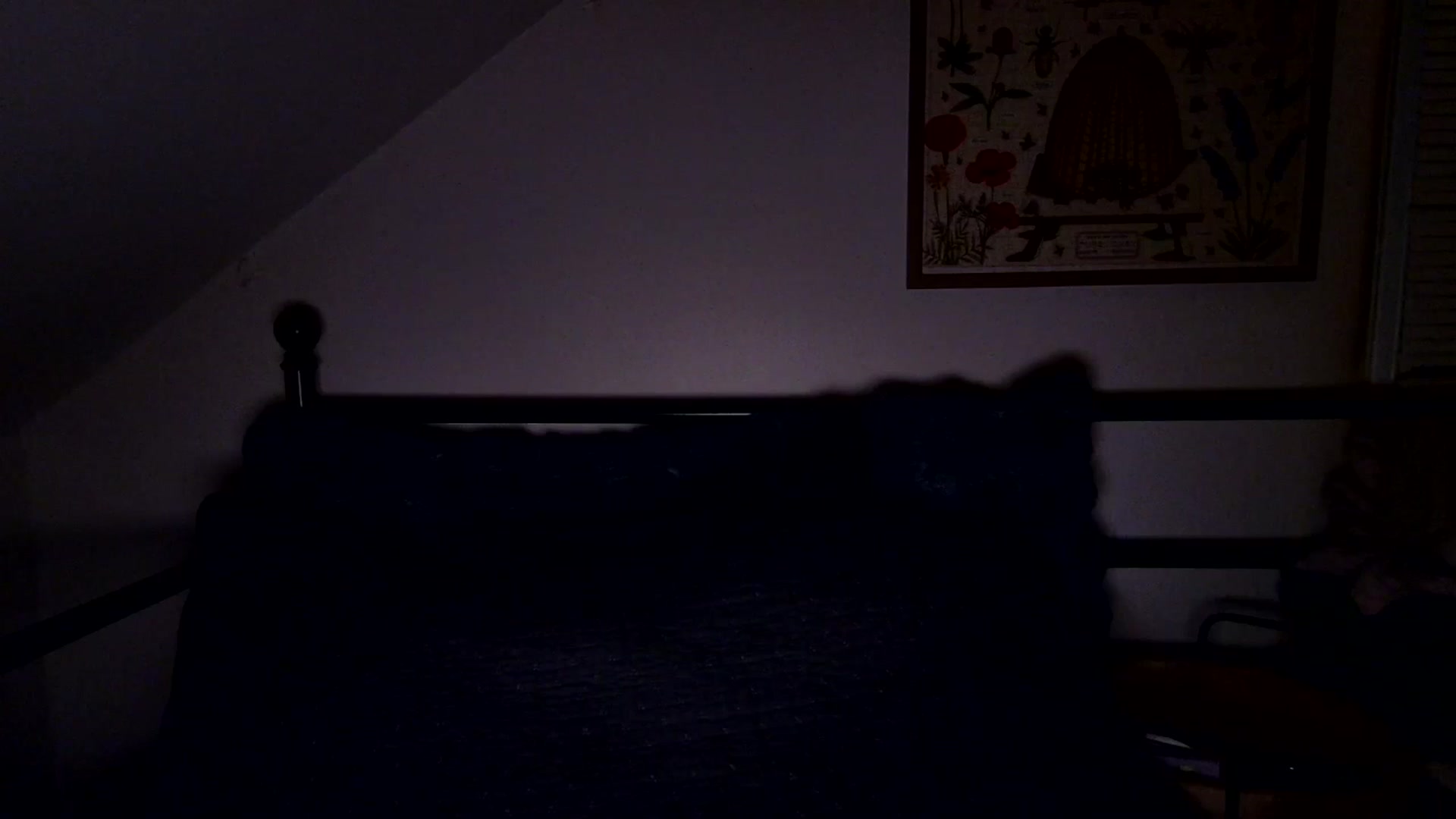 Gallery image thumbnail from Lena_bee's myfreecams stream on, 05/17/2025, 06:16 image 3 of 20