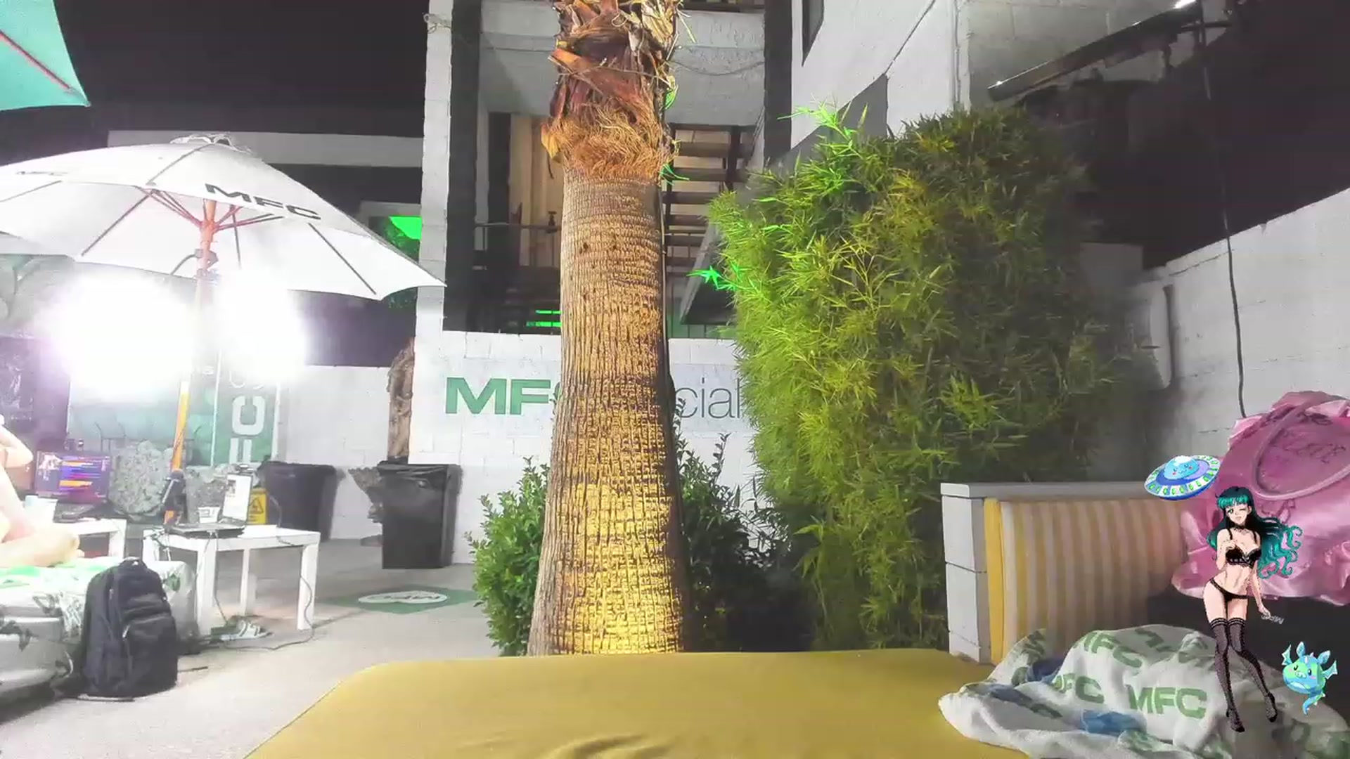 Gallery image thumbnail from LexaLuv's myfreecams stream on, 05/24/2023, 06:01 image 13 of 20