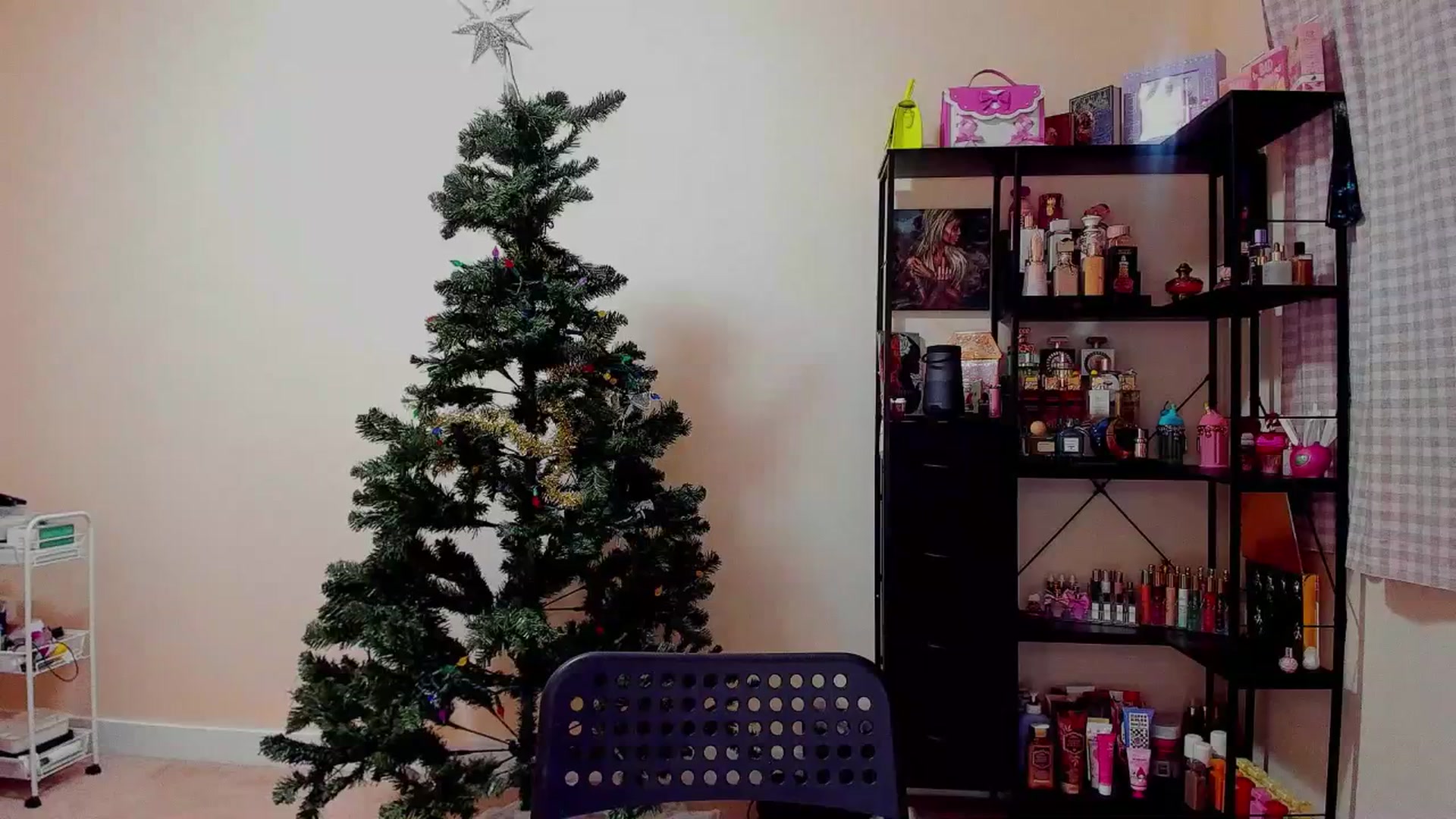 Gallery image thumbnail from LexaLuv's myfreecams stream on, 12/31/2025, 06:19 image 1 of 20