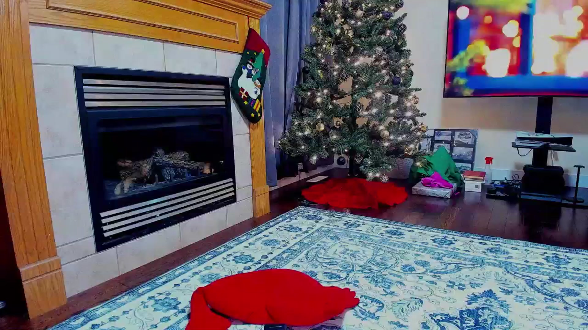 Gallery image thumbnail from LexaLuv's myfreecams stream on, 01/01/2026, 10:32 image 7 of 20