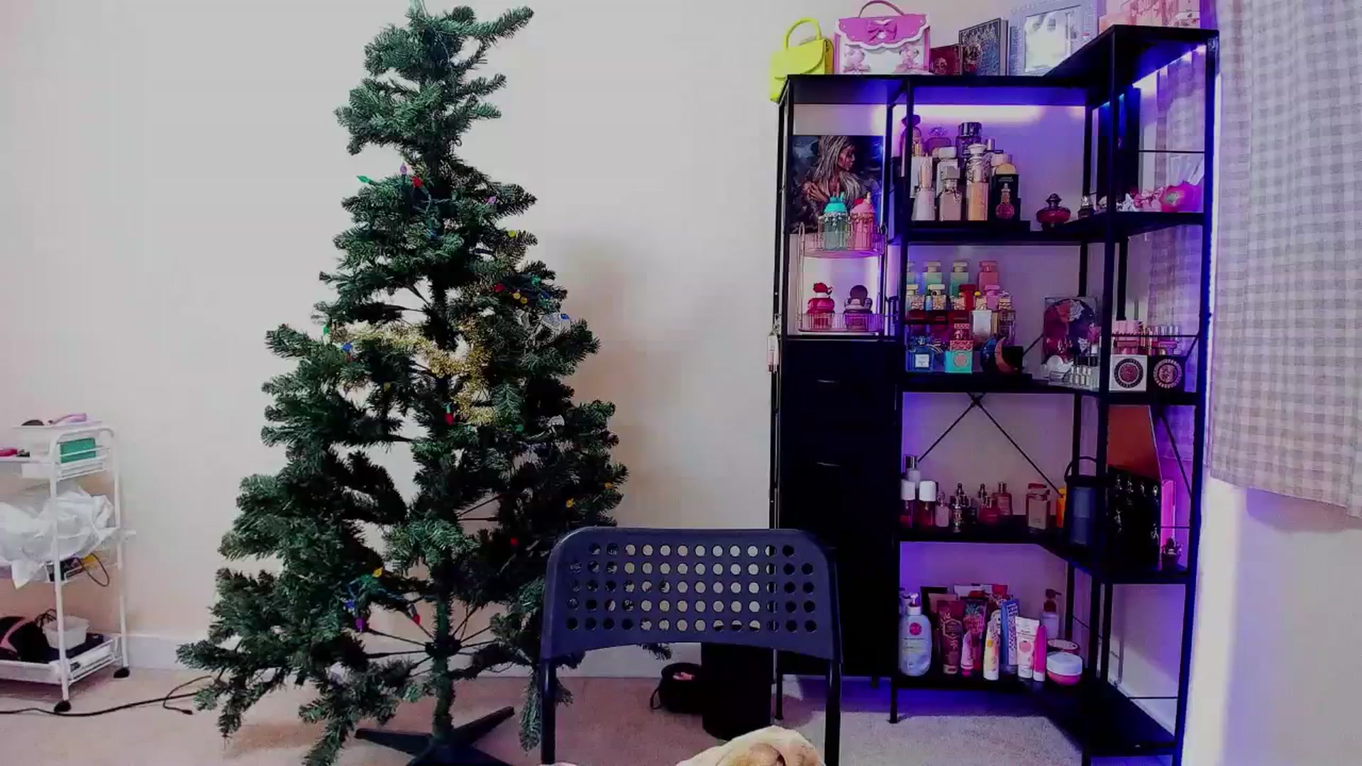 Gallery image thumbnail from LexaLuv's myfreecams stream on, 01/05/2026, 10:13 image 18 of 20