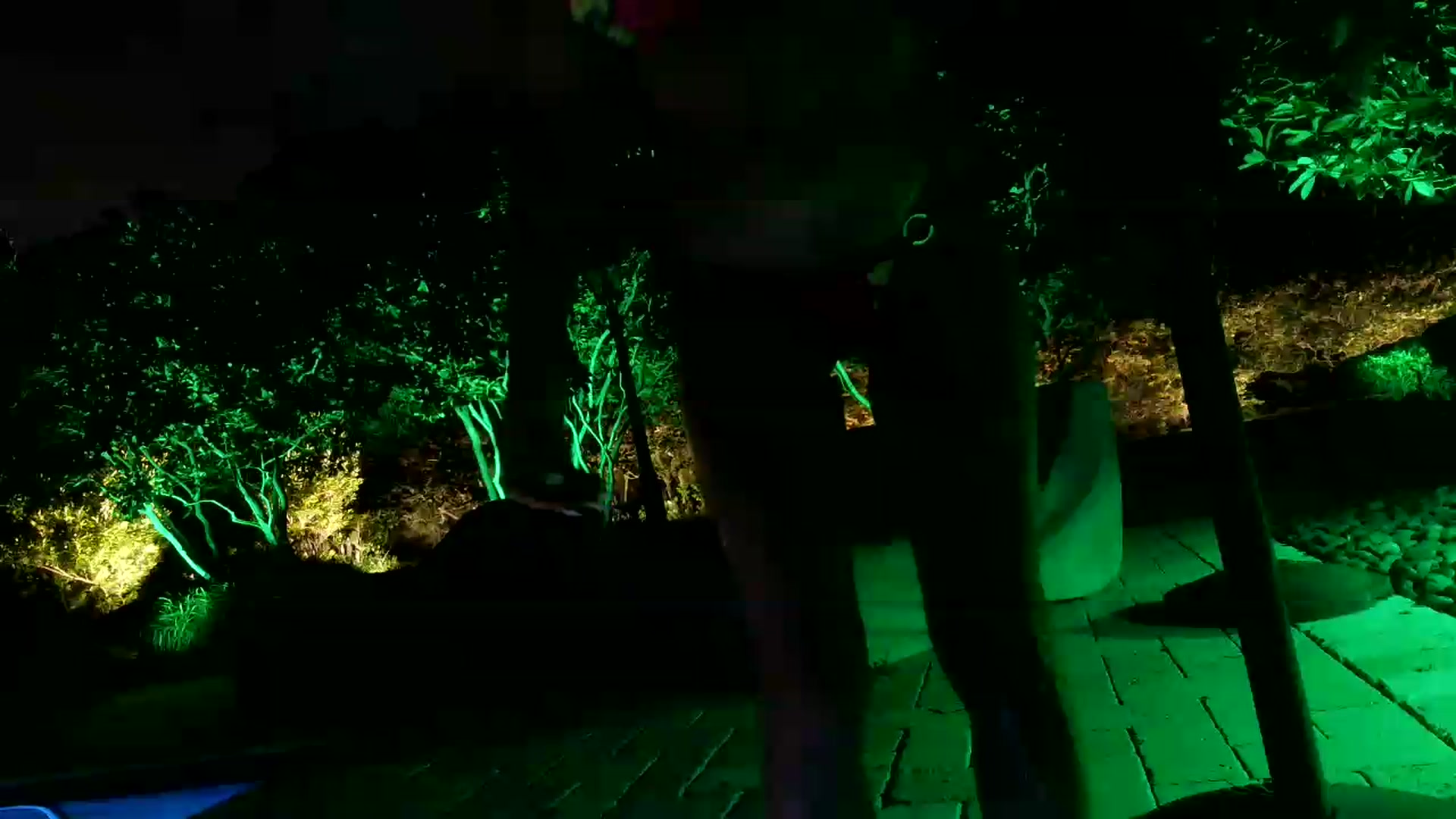 Gallery image thumbnail from LexiFoxx's myfreecams stream on, 06/01/2026, 03:36 image 18 of 20