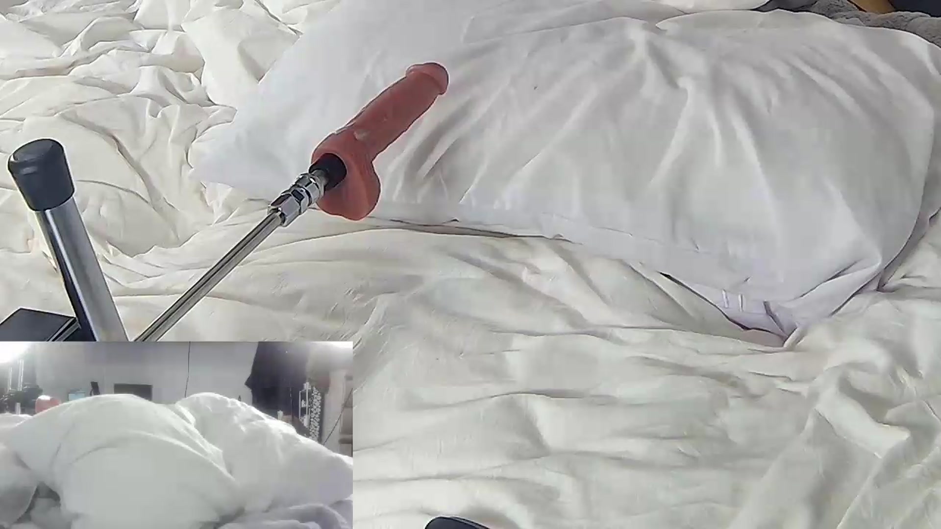 Gallery image thumbnail from LexiFoxx's myfreecams stream on, 06/24/2026, 06:24 image 4 of 20