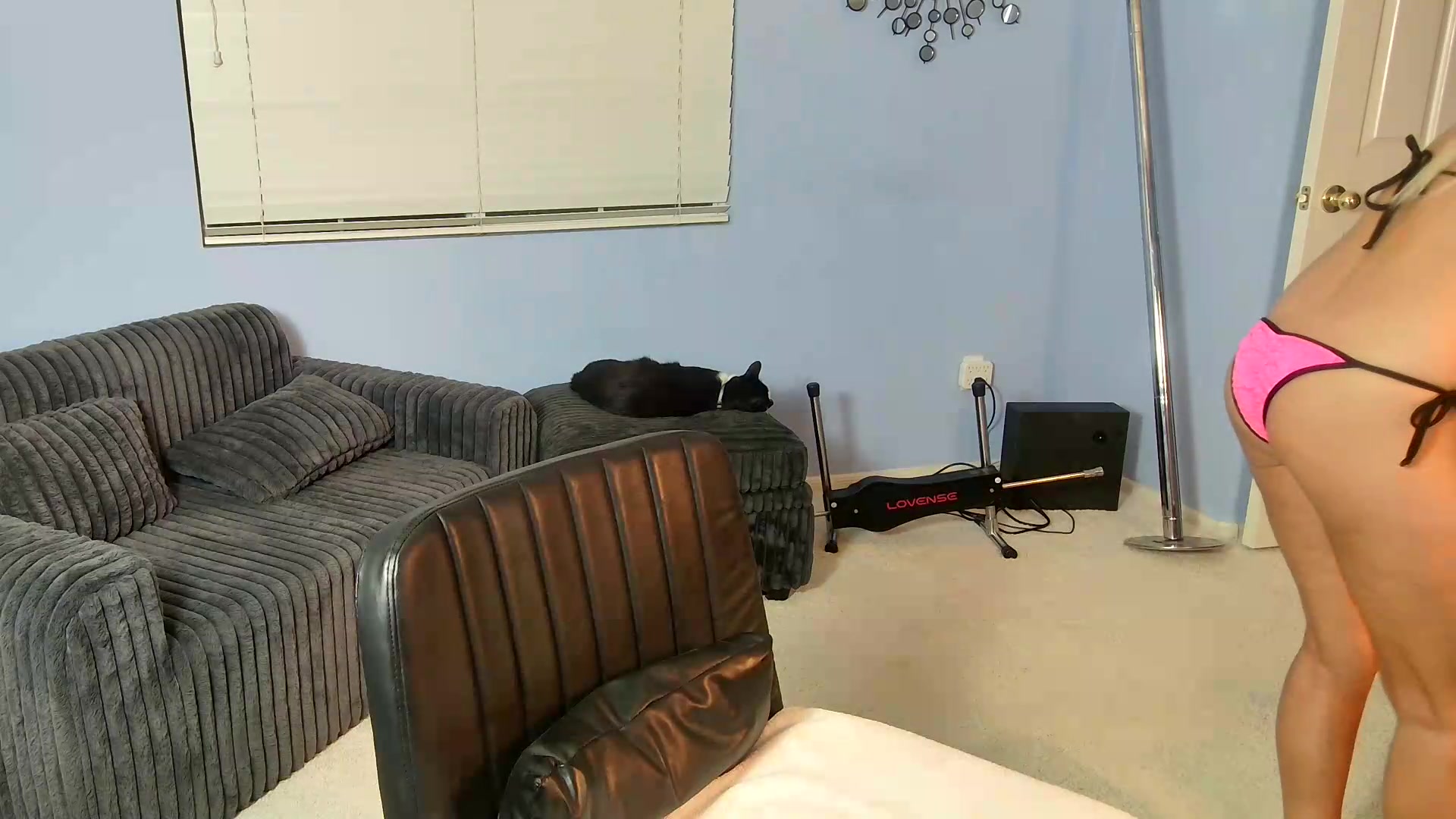 Gallery image thumbnail from LexiFoxx's myfreecams stream on, 08/20/2026, 06:02 image 19 of 20