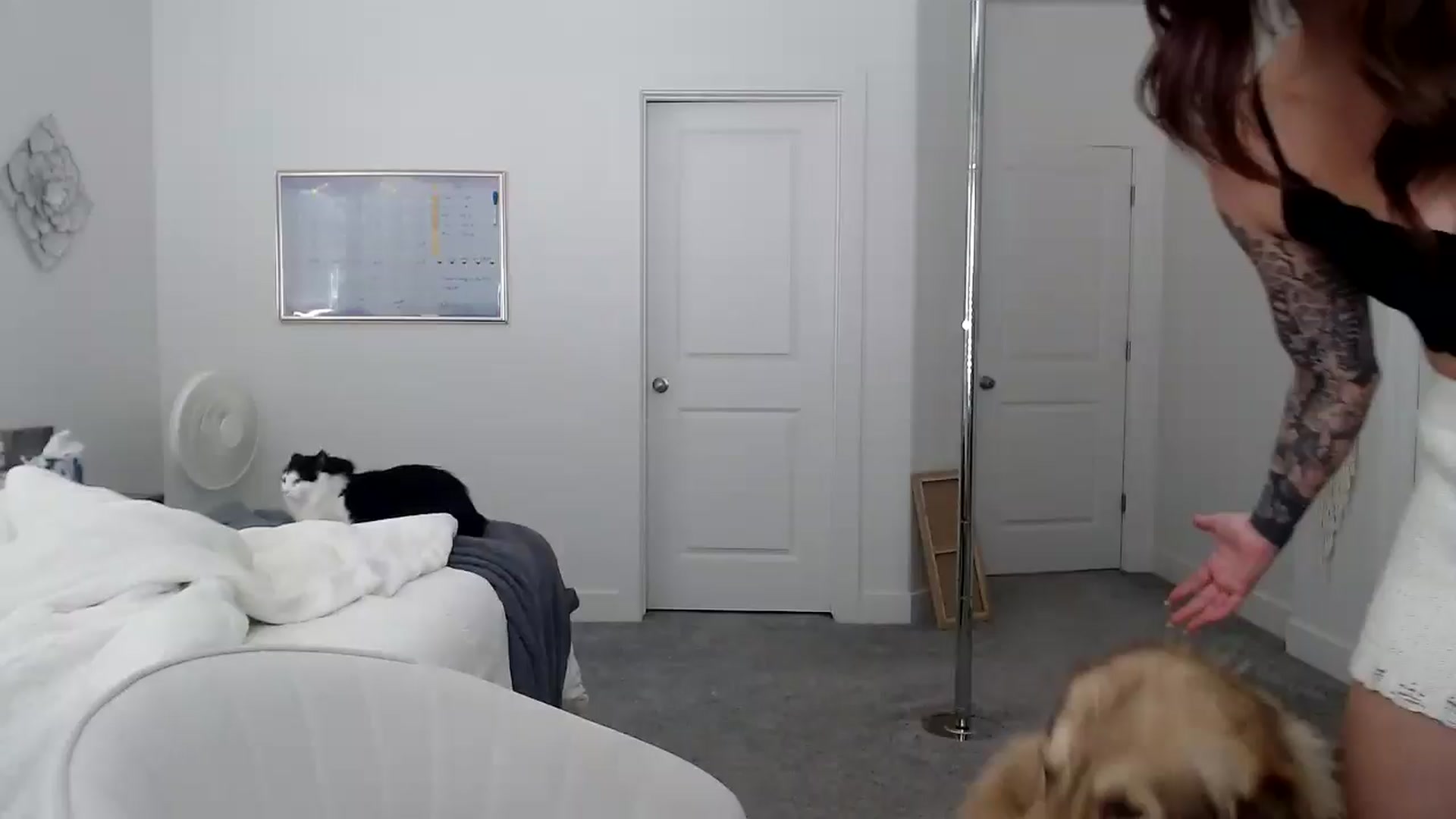 Gallery image thumbnail from LexiReid1's myfreecams stream on, 07/27/2025, 18:25 image 17 of 20
