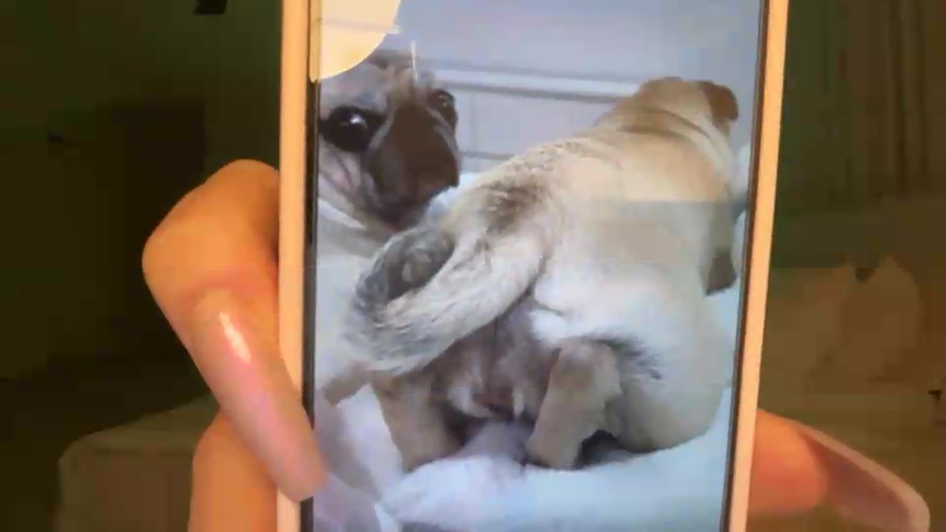 Gallery image thumbnail from LexiVixi's myfreecams stream on, 08/14/2026, 07:02 image 11 of 20