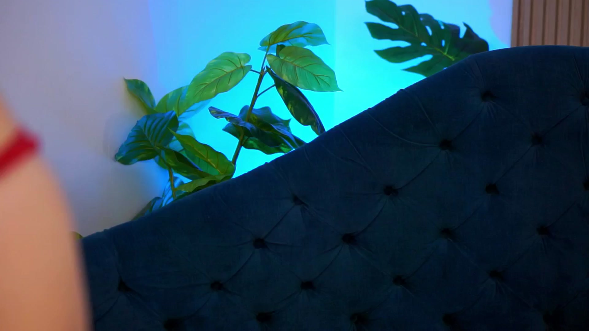 Gallery image thumbnail from Lexi_Goddess's myfreecams stream on, 01/15/2025, 14:31 image 19 of 20