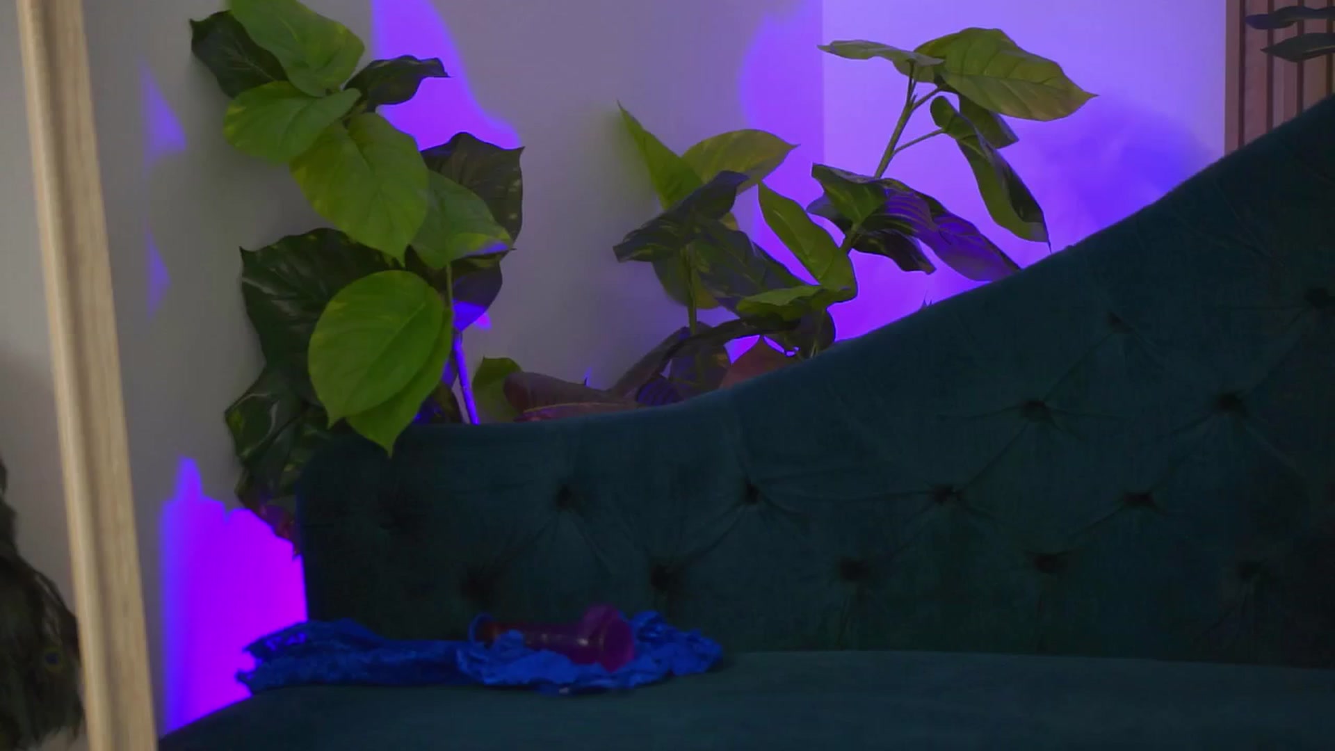 Gallery image thumbnail from Lexi_Goddess's myfreecams stream on, 01/30/2025, 14:37 image 19 of 20