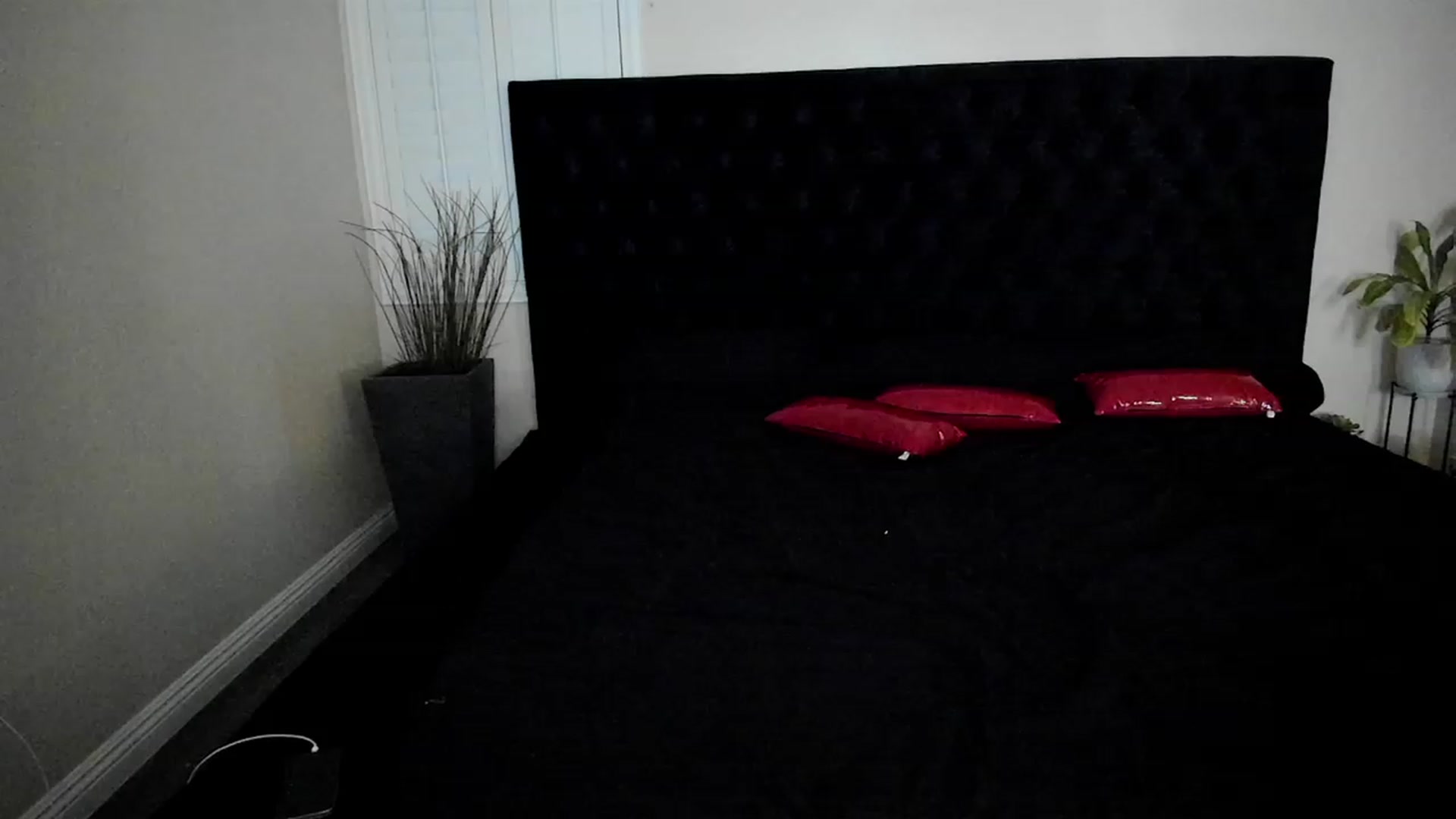 Gallery image thumbnail from LexiiJae's myfreecams stream on, 01/17/2024, 07:55 image 20 of 20