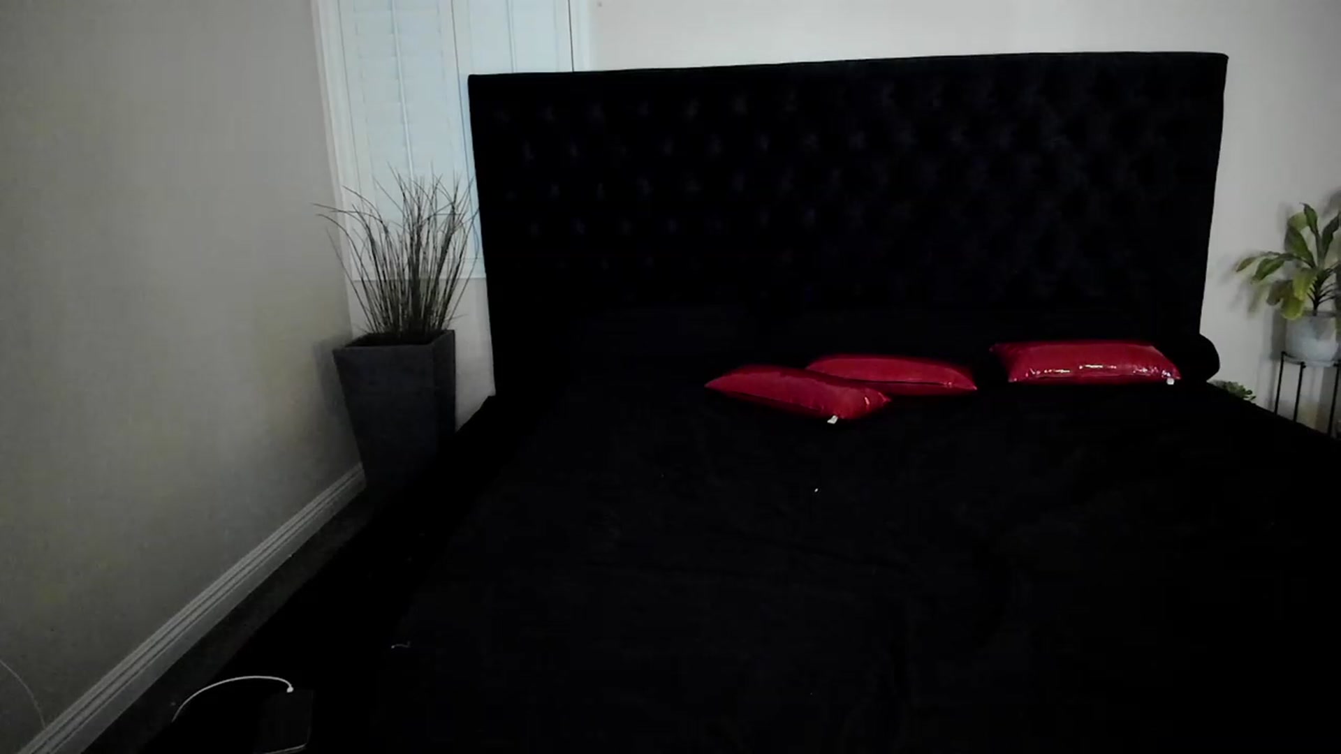 Gallery image thumbnail from LexiiJae's myfreecams stream on, 01/17/2024, 07:55 image 19 of 20