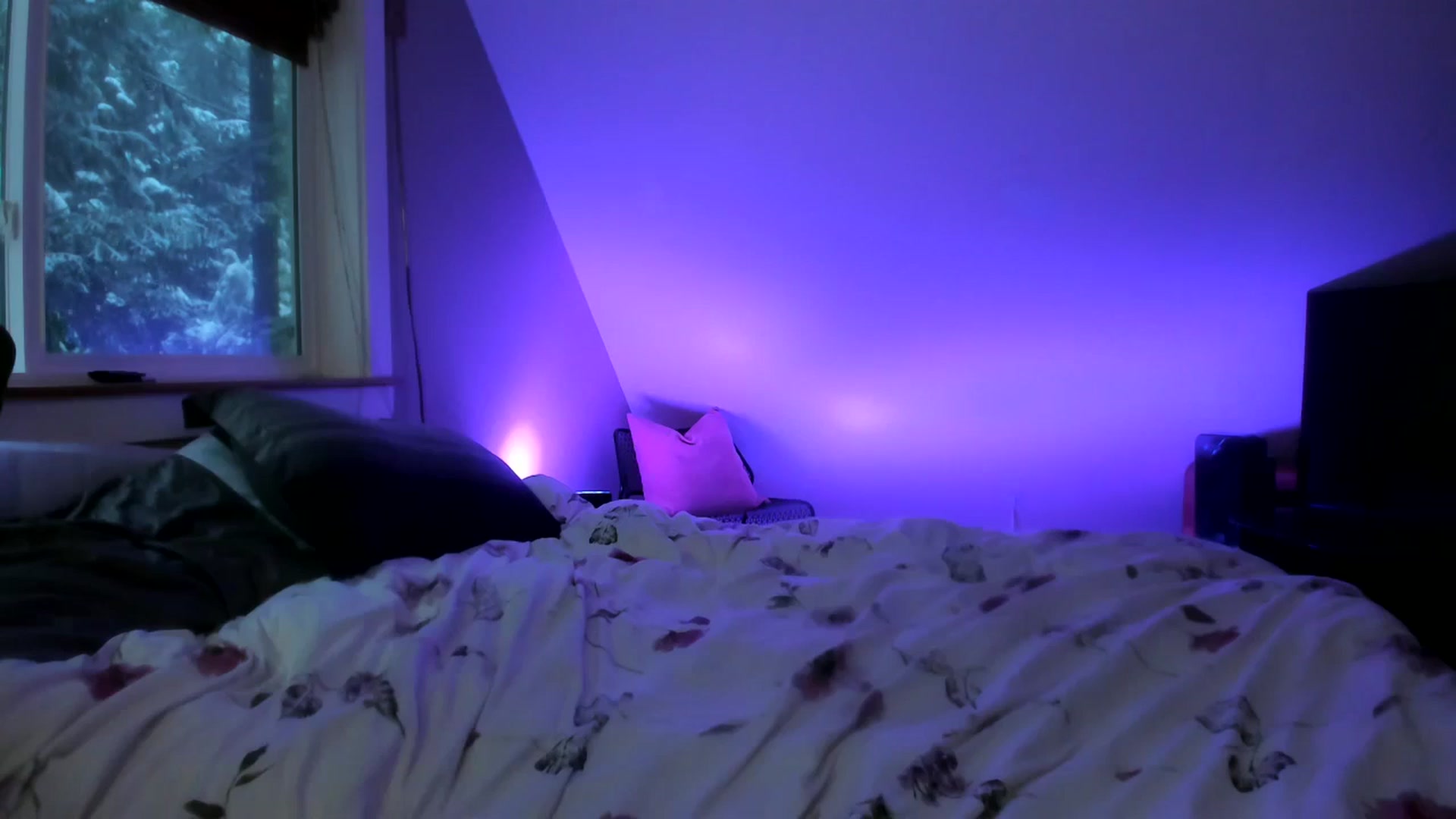 Gallery image thumbnail from Lexii_Mae's myfreecams stream on, 02/01/2025, 18:56 image 12 of 20