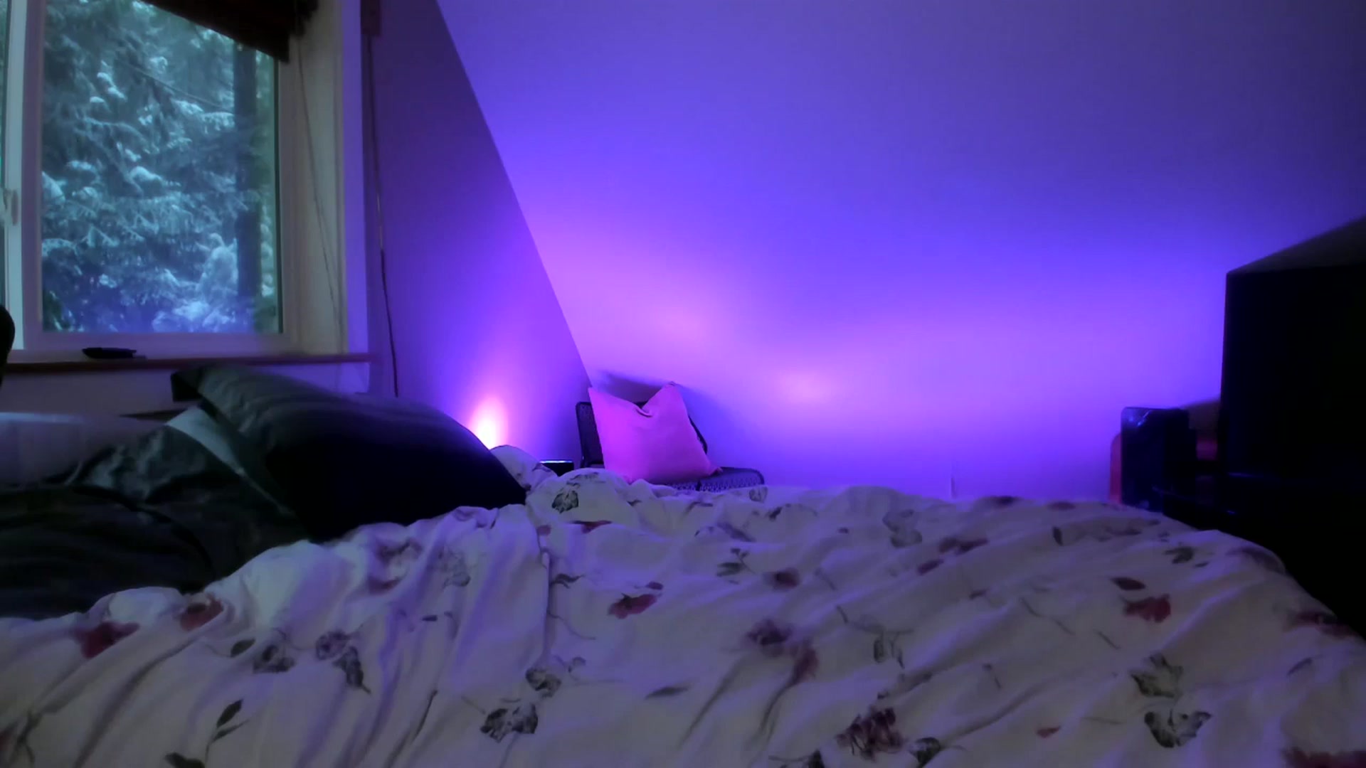 Gallery image thumbnail from Lexii_Mae's myfreecams stream on, 02/01/2025, 18:56 image 15 of 20