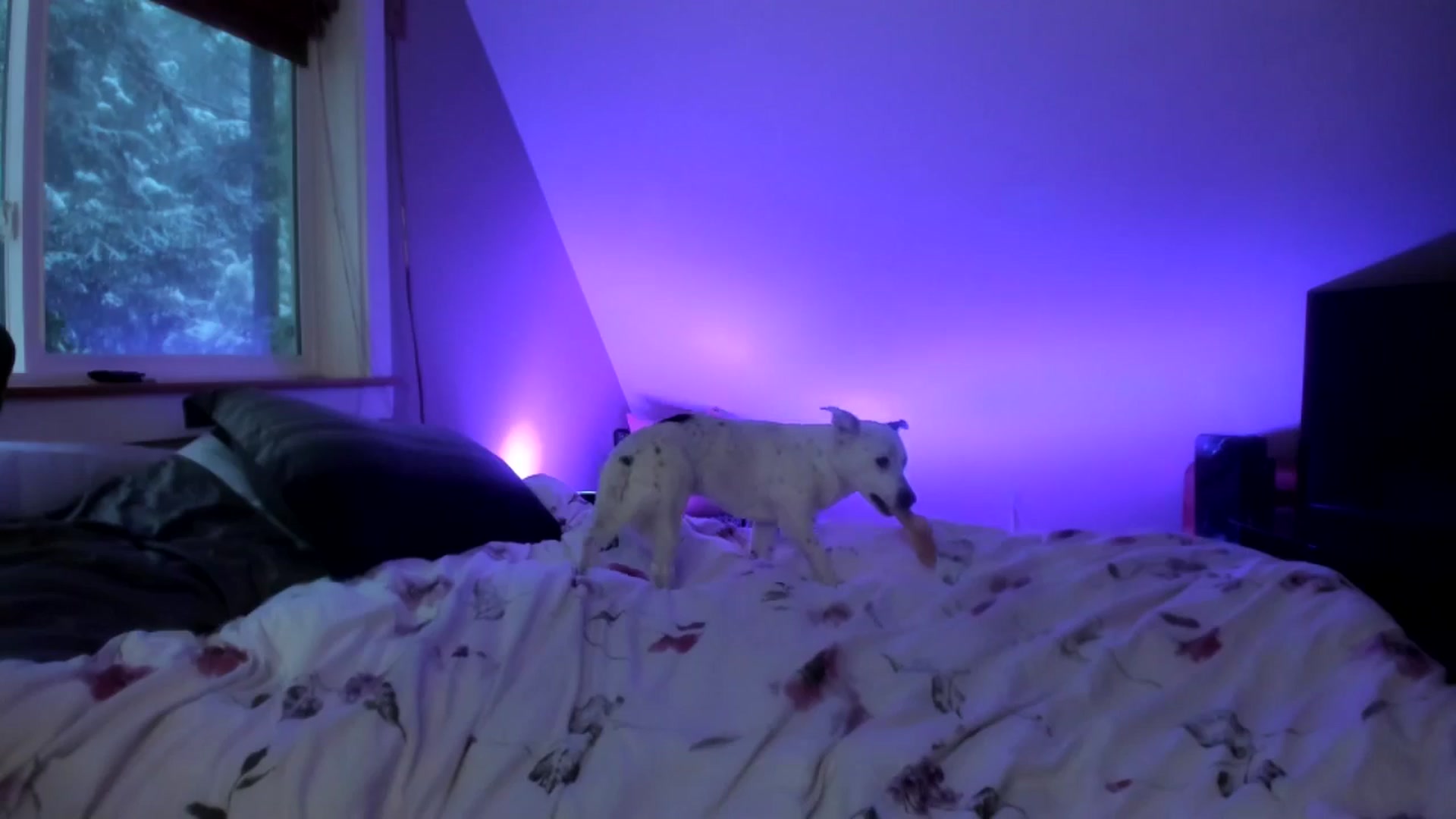 Gallery image thumbnail from Lexii_Mae's myfreecams stream on, 02/01/2025, 18:56 image 11 of 20