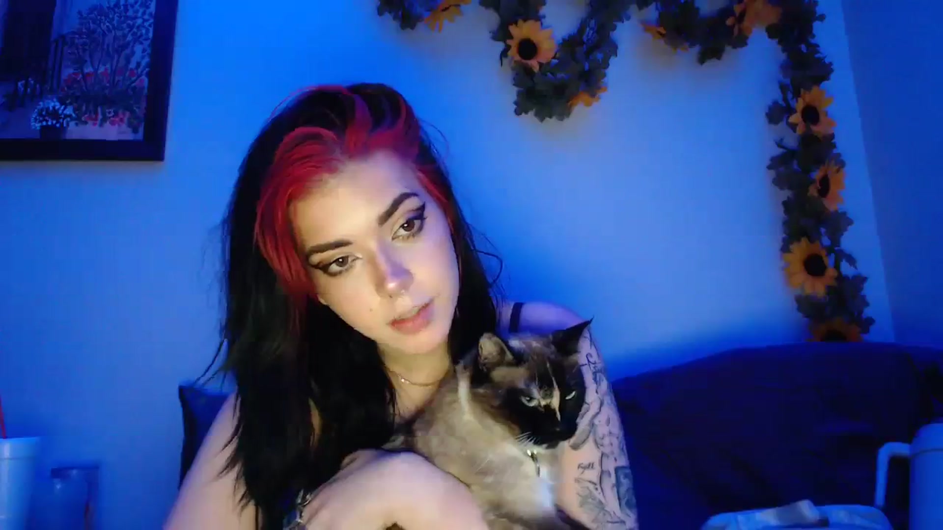 Gallery image thumbnail from Leximayxox's myfreecams stream on, 12/15/2023, 11:29 image 18 of 20