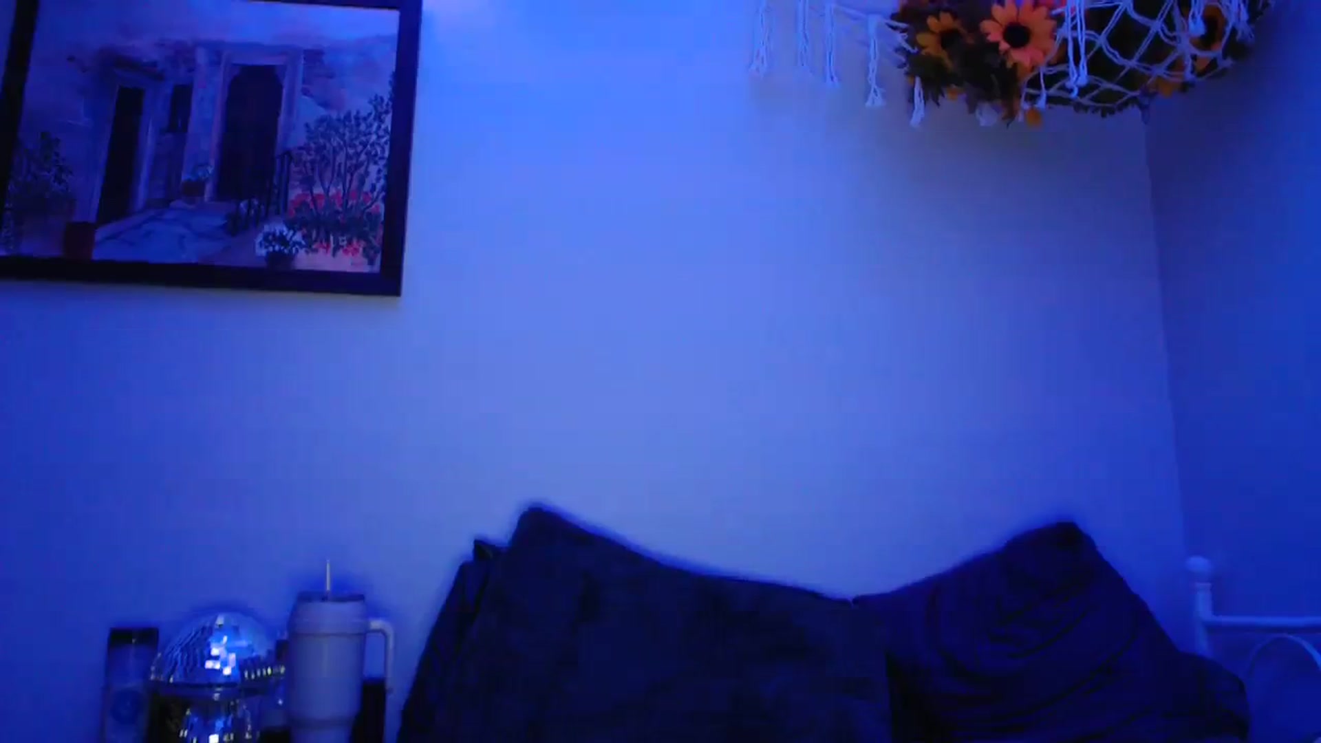Gallery image thumbnail from Leximayxox's myfreecams stream on, 01/23/2024, 02:02 image 16 of 20