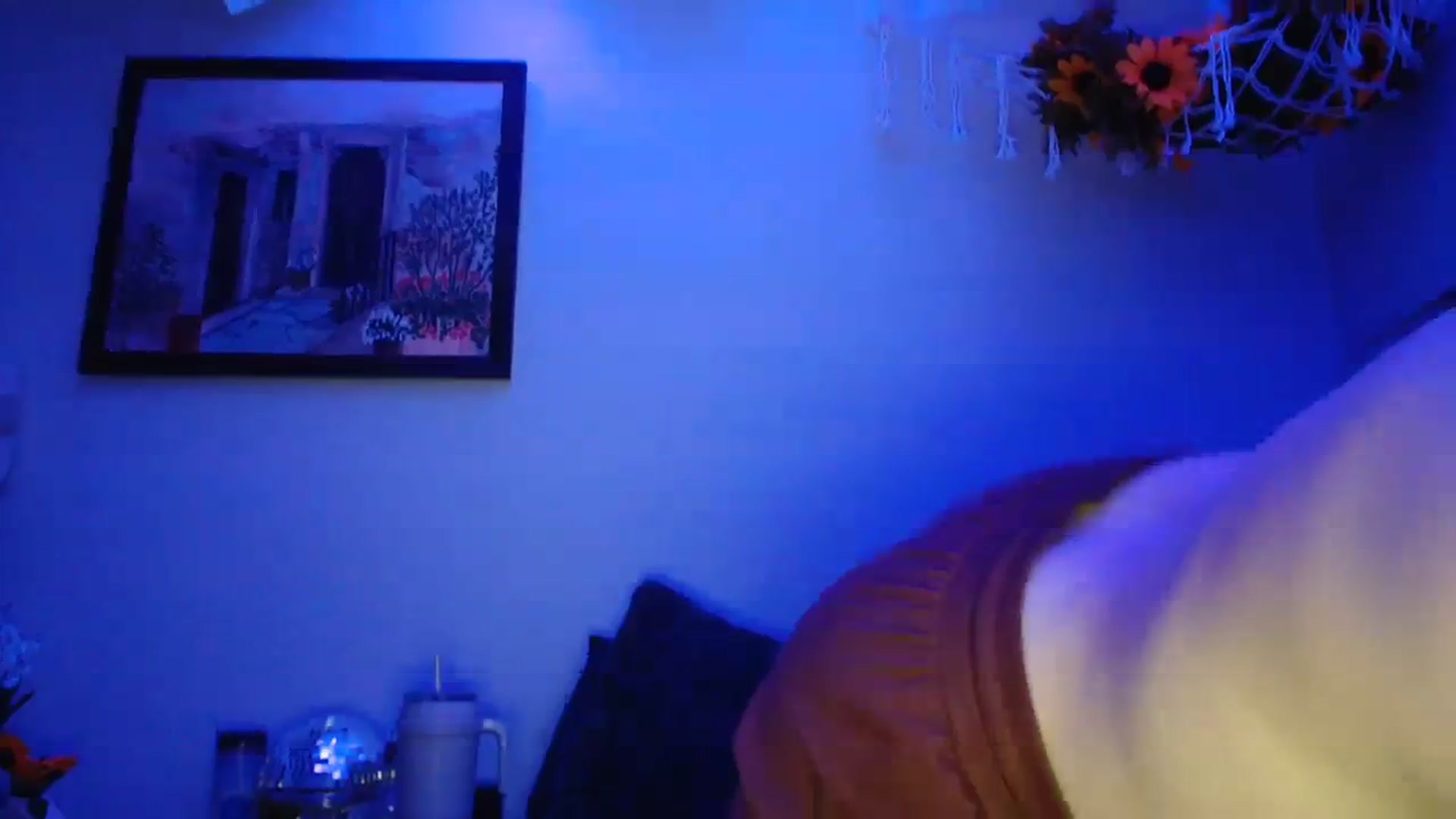 Gallery image thumbnail from Leximayxox's myfreecams stream on, 01/23/2024, 02:02 image 13 of 20