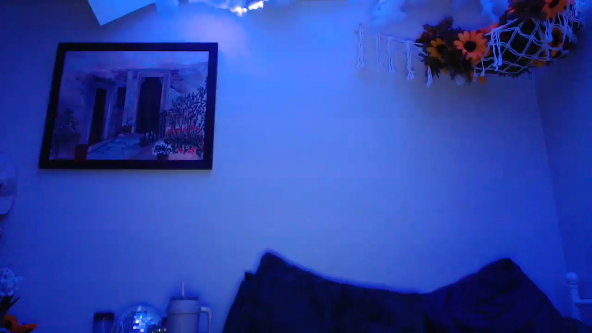 Gallery image thumbnail from Leximayxox's myfreecams stream on, 01/23/2024, 02:02 image 14 of 20