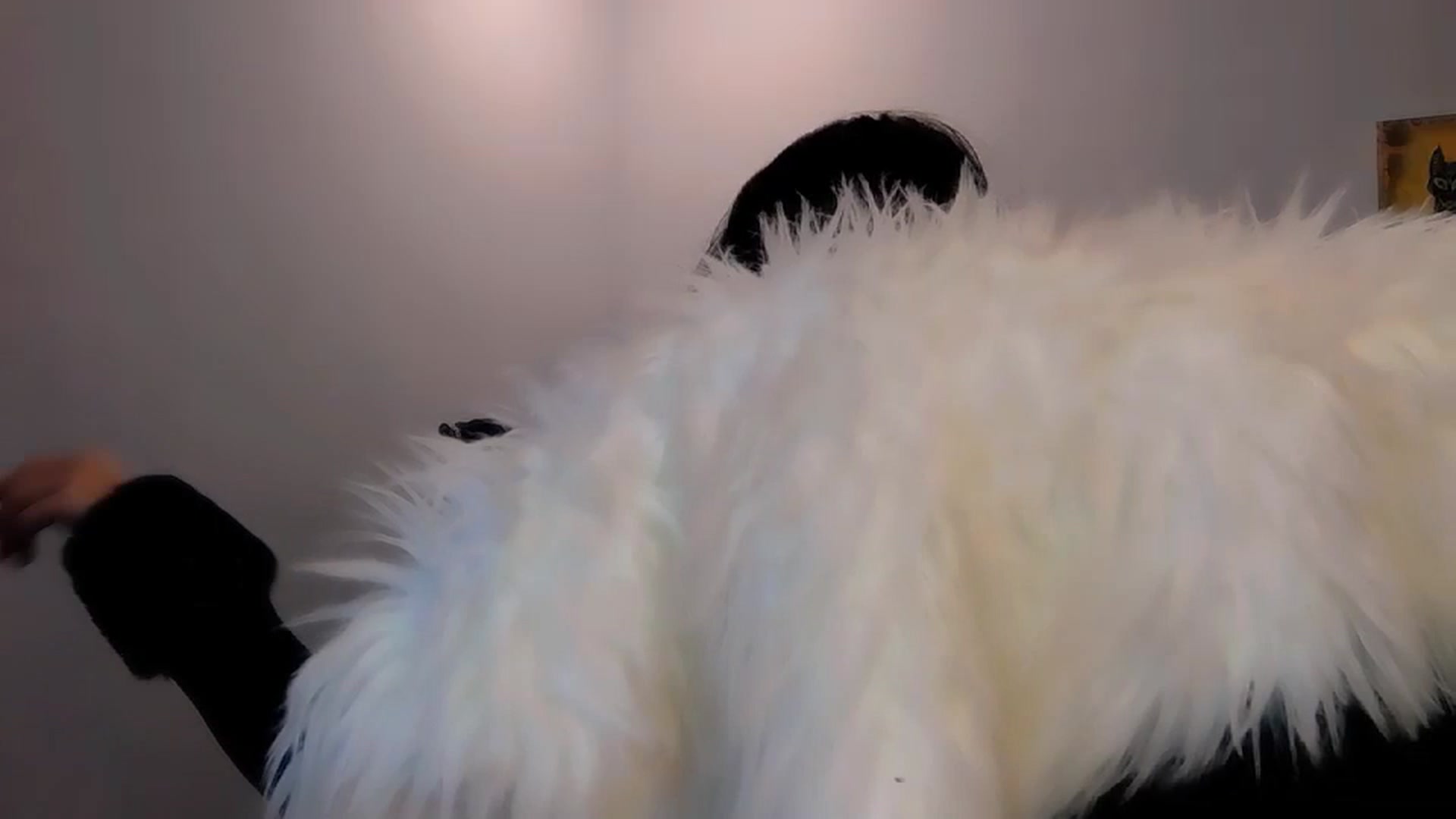 Gallery image thumbnail from LexisBirthday's myfreecams stream on, 11/20/2023, 23:16 image 8 of 20