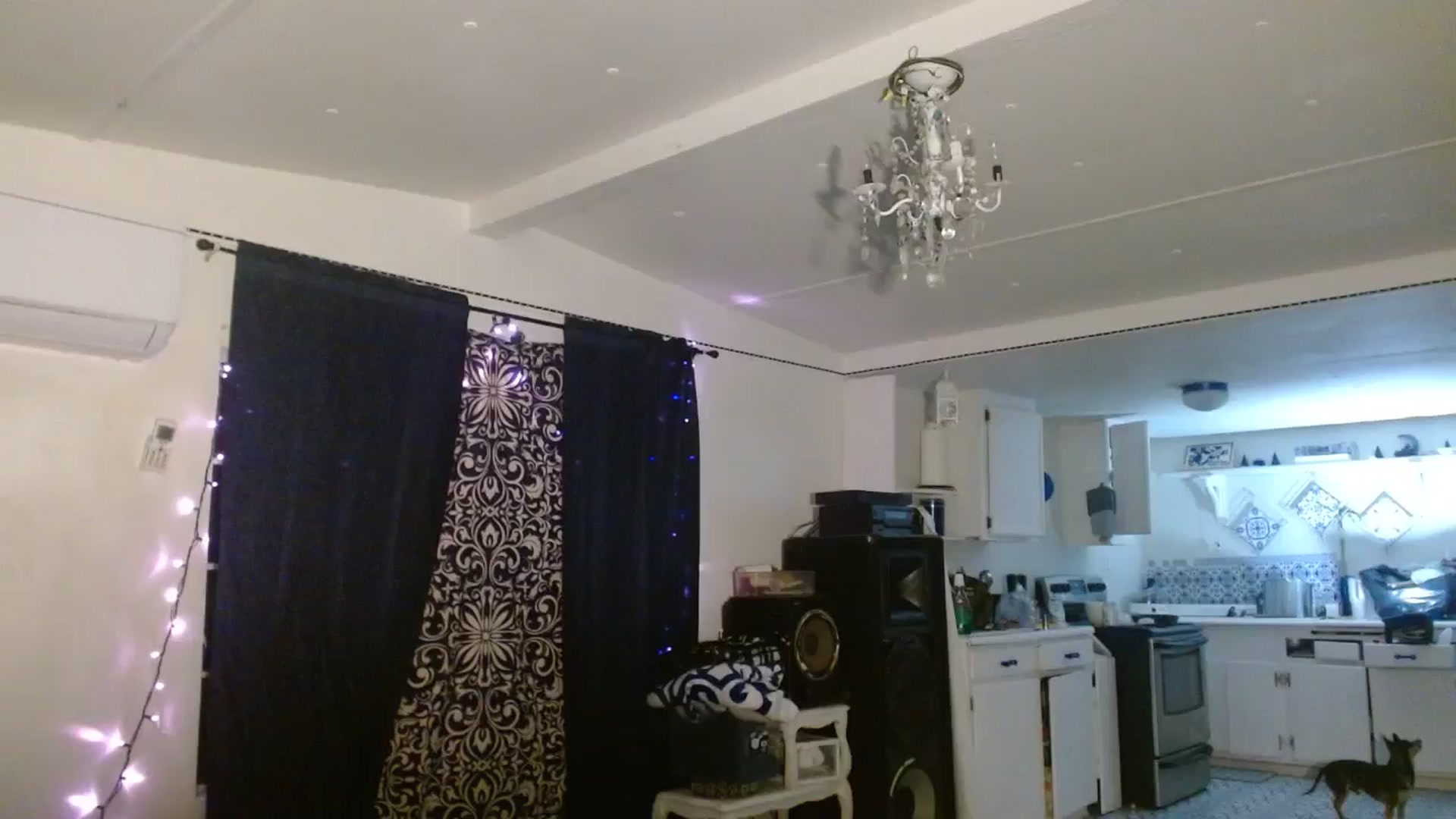 Gallery image thumbnail from Lexlovesex's myfreecams stream on, 02/01/2026, 11:04 image 17 of 20