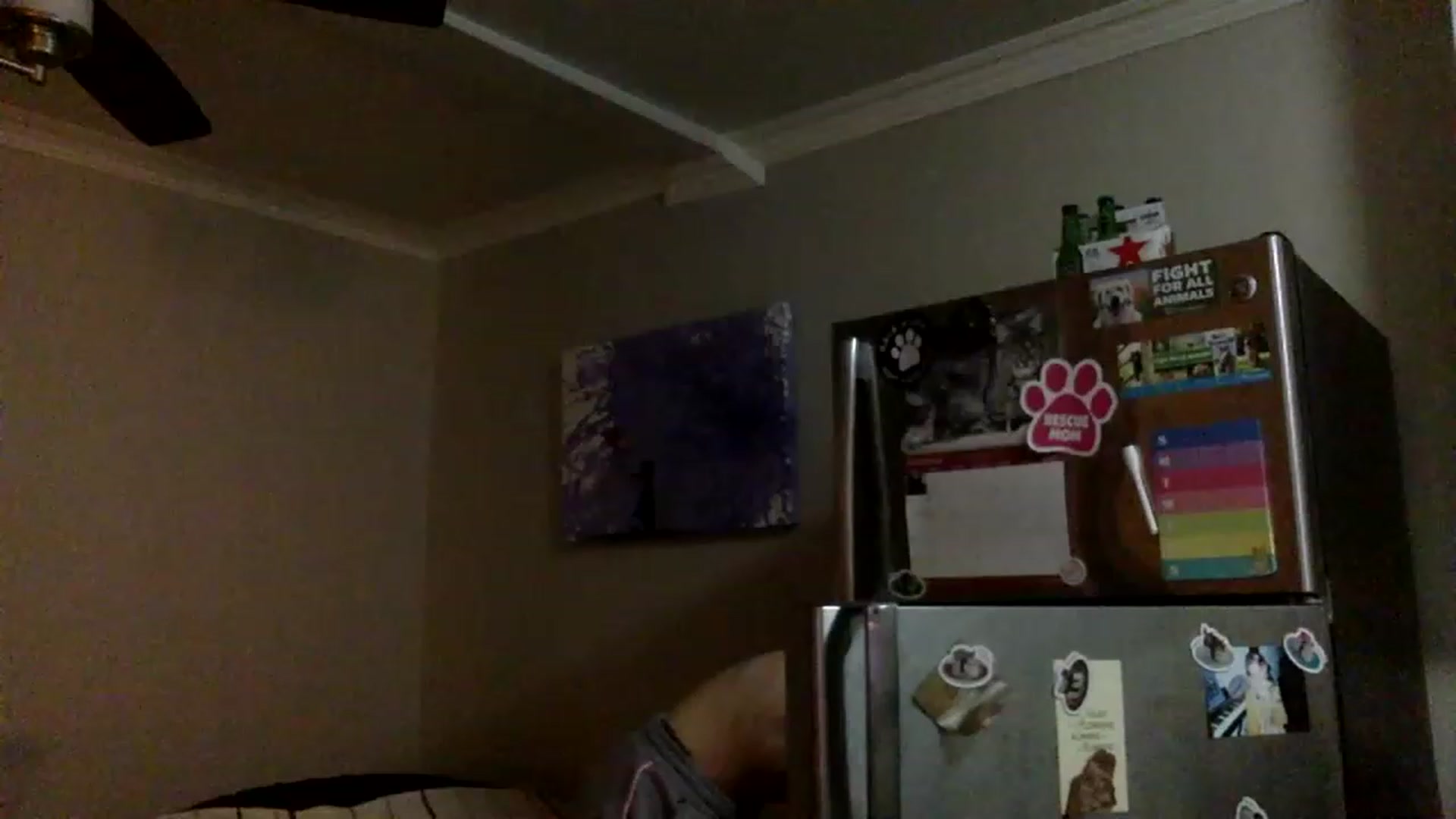 Gallery image thumbnail from Lexsexkitten's myfreecams stream on, 11/15/2022, 12:32 image 11 of 20