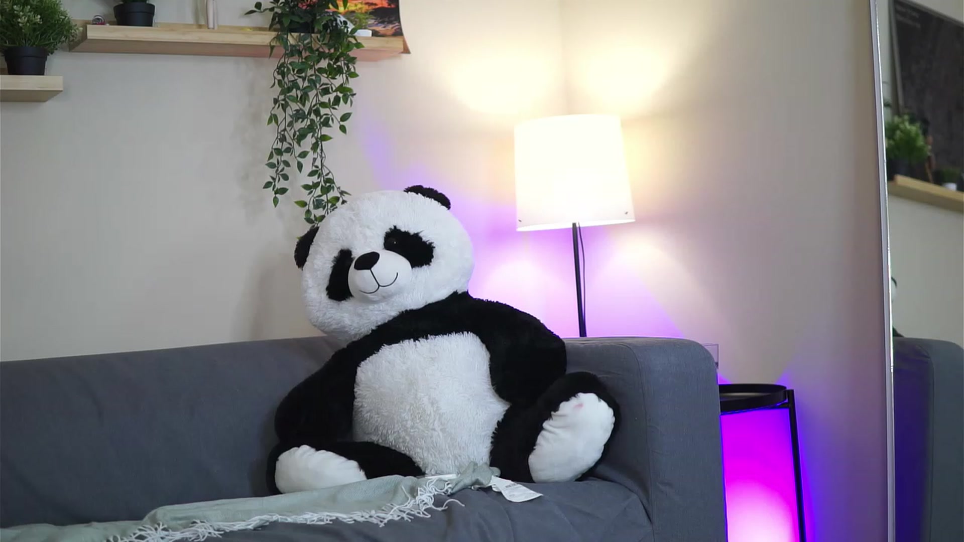 Gallery image thumbnail from LeyaMeyers's myfreecams stream on, 01/19/2023, 11:55 image 14 of 20