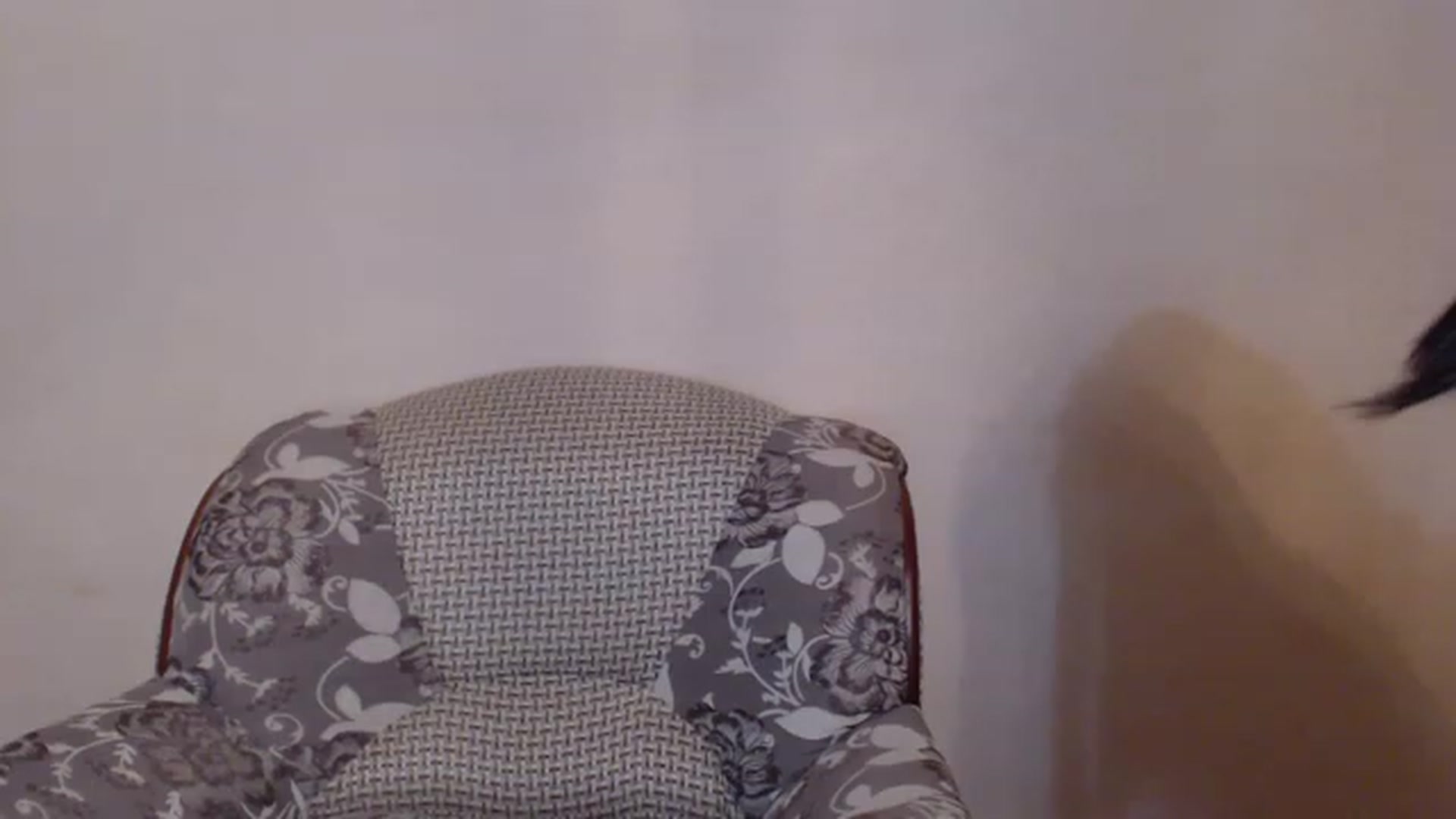 Gallery image thumbnail from Leya_Min's myfreecams stream on, 02/12/2023, 21:56 image 2 of 20