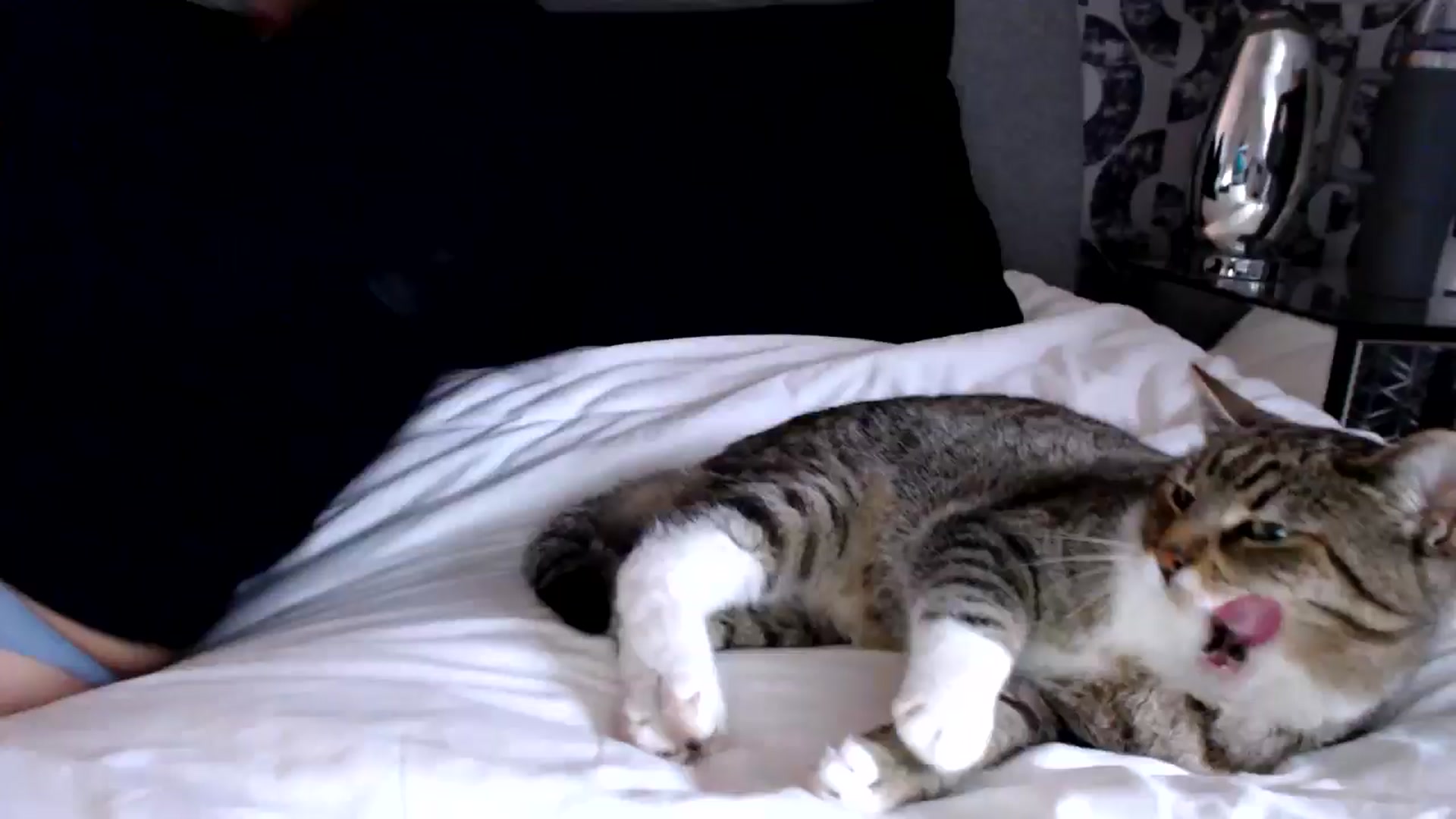 Gallery image thumbnail from Leyla2's myfreecams stream on, 09/23/2024, 12:49 image 3 of 20