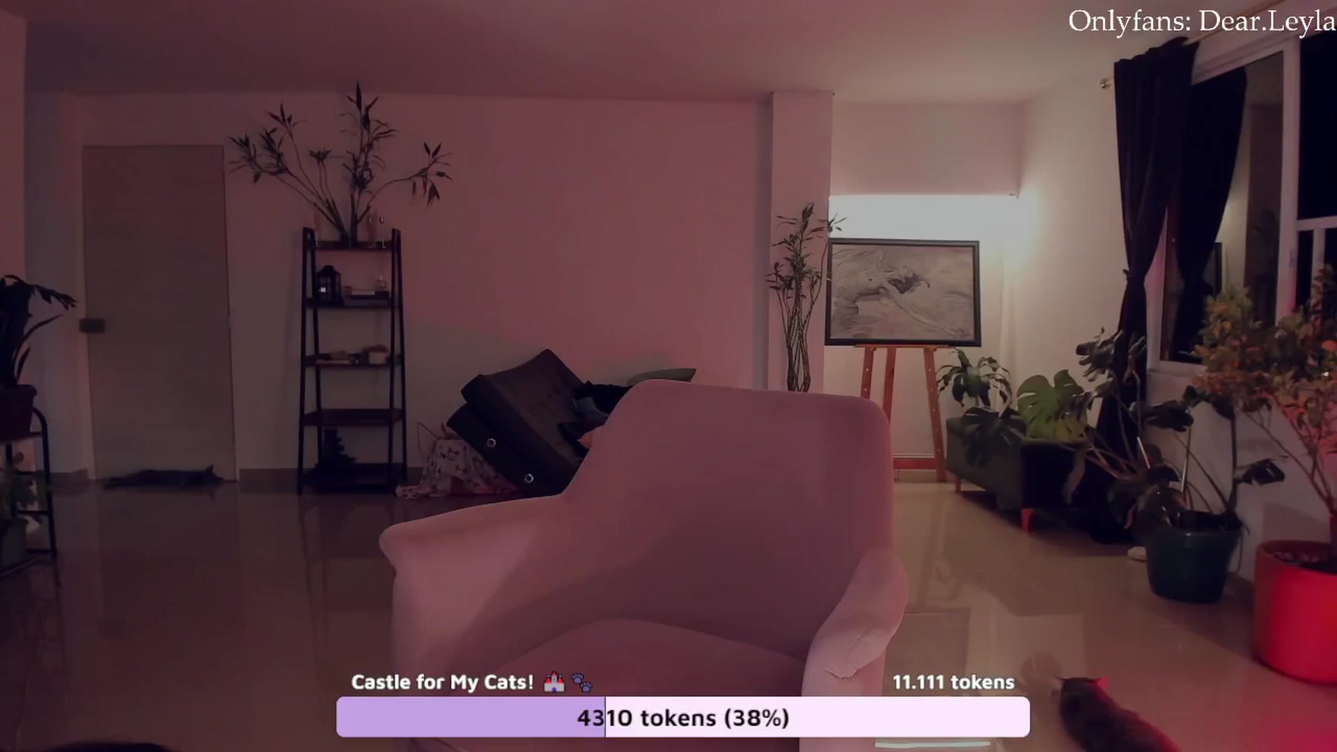 Gallery image thumbnail from LeylaGrey_'s myfreecams stream on, 09/10/2024, 03:33 image 11 of 20