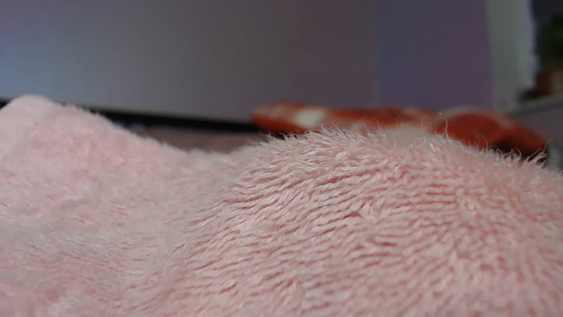 Gallery image thumbnail from Li_lit's myfreecams stream on, 11/25/2022, 01:12 image 9 of 20