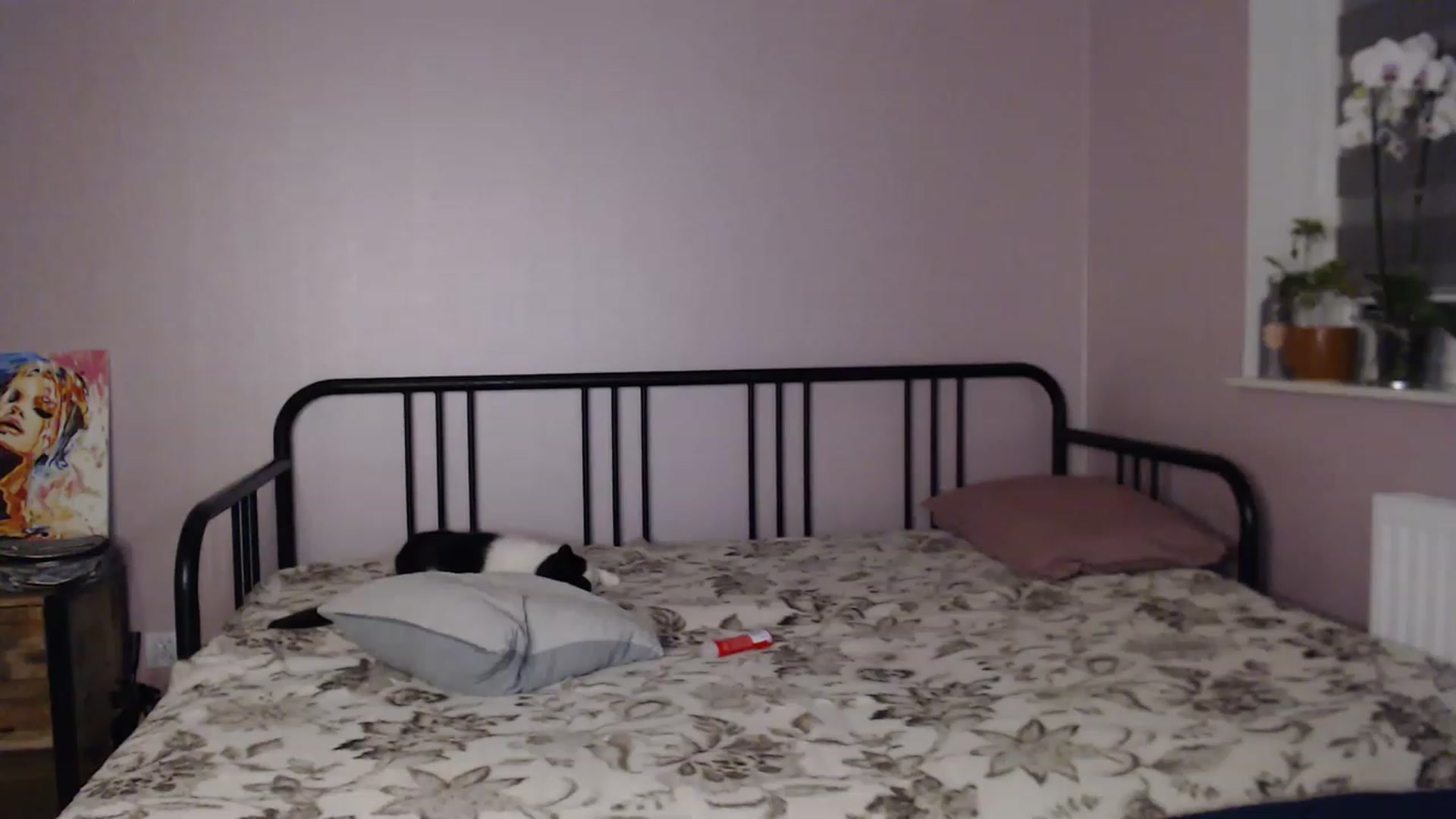 Gallery image thumbnail from Li_lit's myfreecams stream on, 06/04/2023, 22:41 image 17 of 20