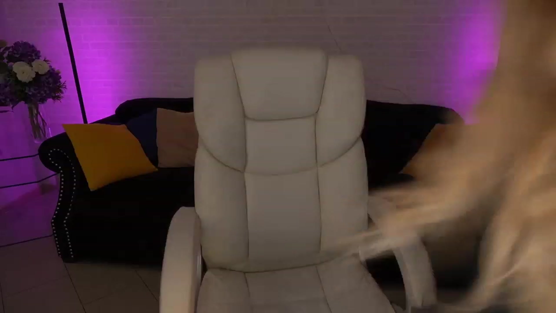 Gallery image thumbnail from LiaBrazzer's myfreecams stream on, 05/05/2023, 11:52 image 8 of 20
