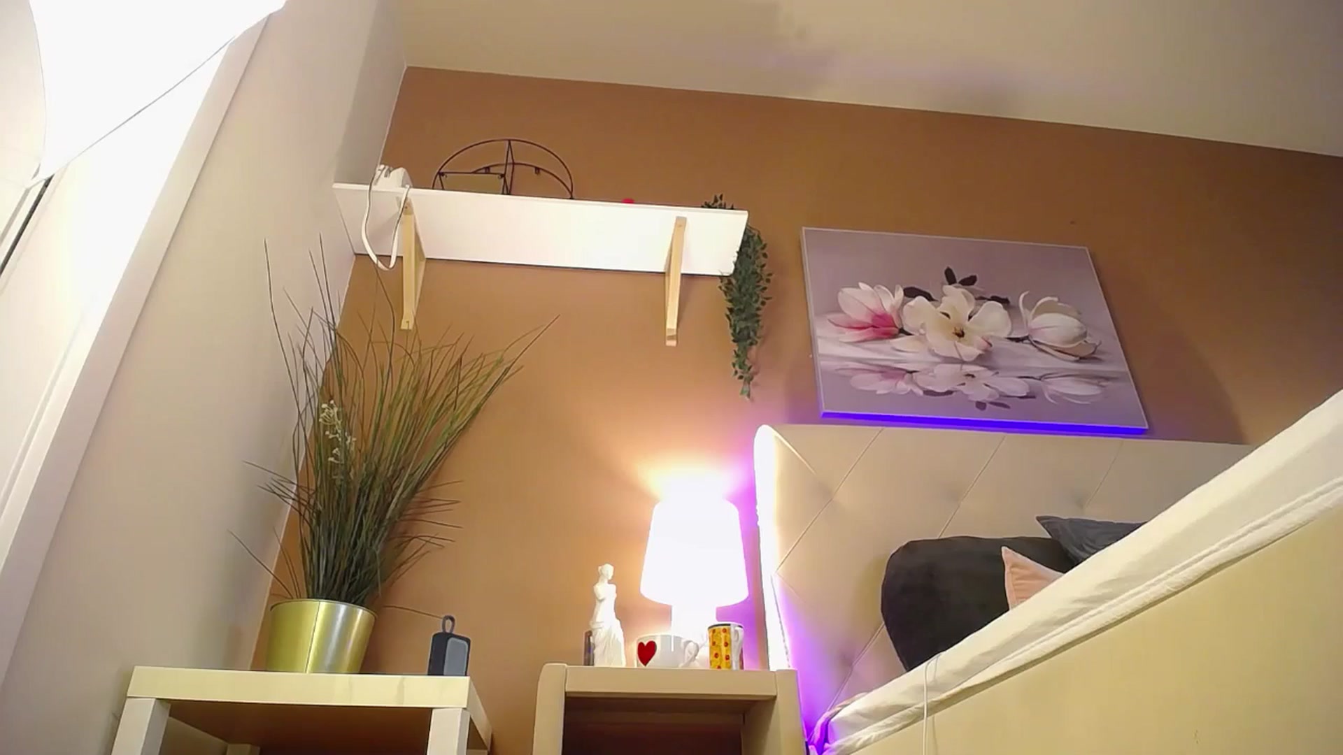 Gallery image thumbnail from LiaraTesoni's myfreecams stream on, 06/15/2024, 22:46 image 14 of 20