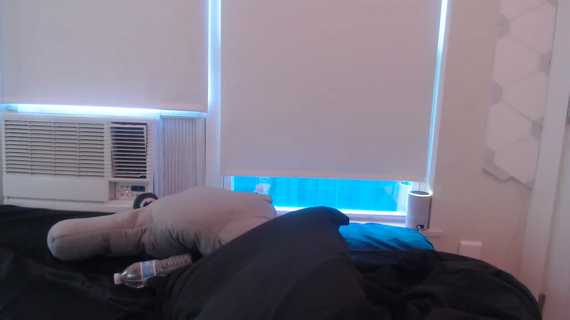 Gallery image thumbnail from LibbyxDoe's myfreecams stream on, 12/23/2022, 22:33 image 19 of 20
