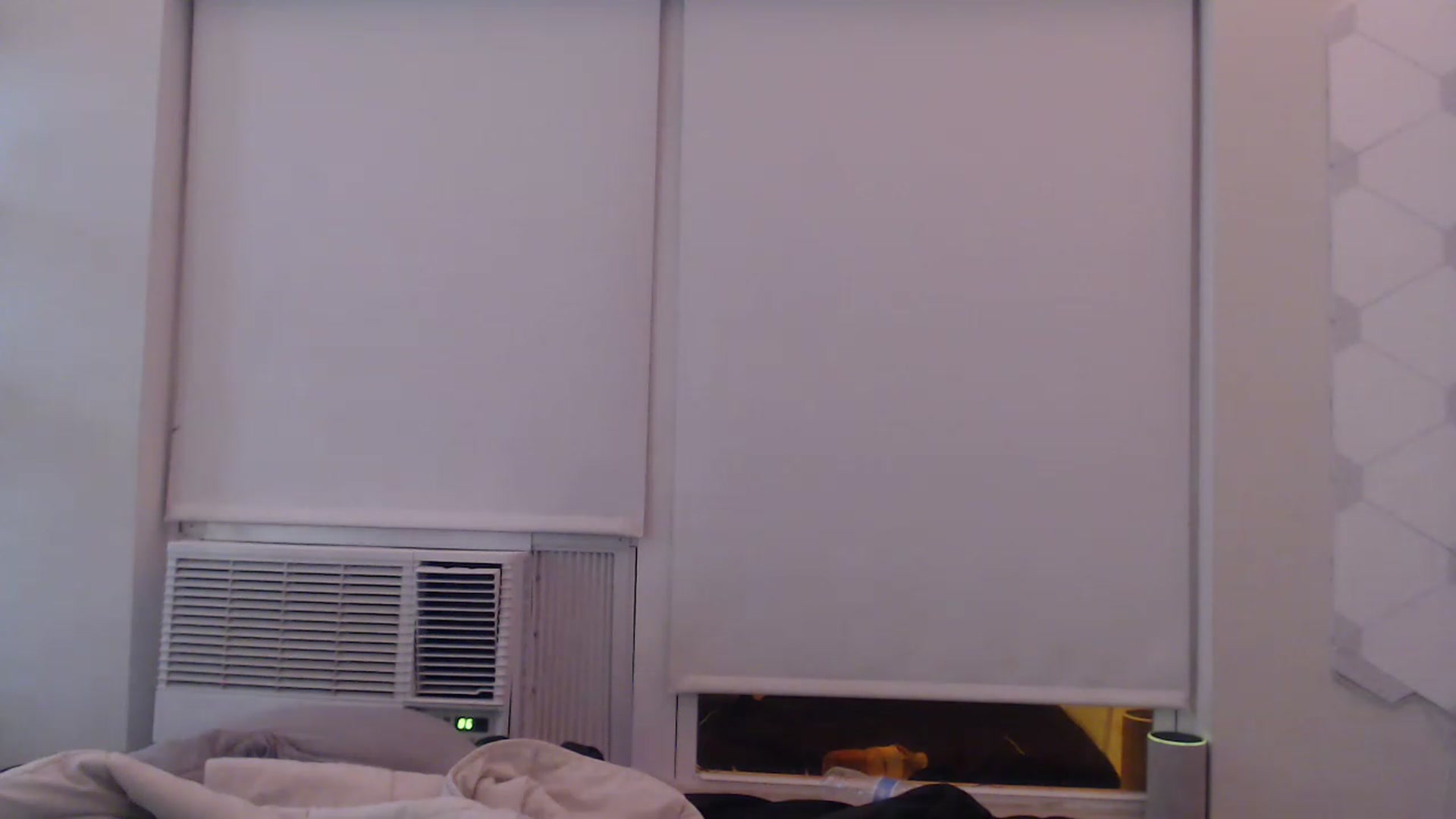 Gallery image thumbnail from LibbyxDoe's myfreecams stream on, 12/24/2022, 24:09 image 20 of 20